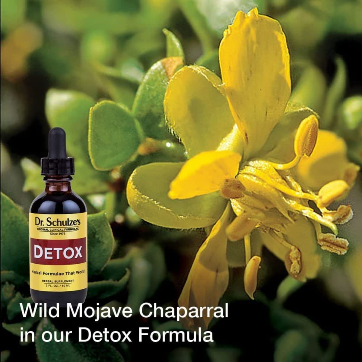 Dr. Schulze's 5 Day Kidney