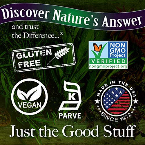 Nature's Answer Vitex Angus Castus Supplement 40 mg Capsules 90 Count