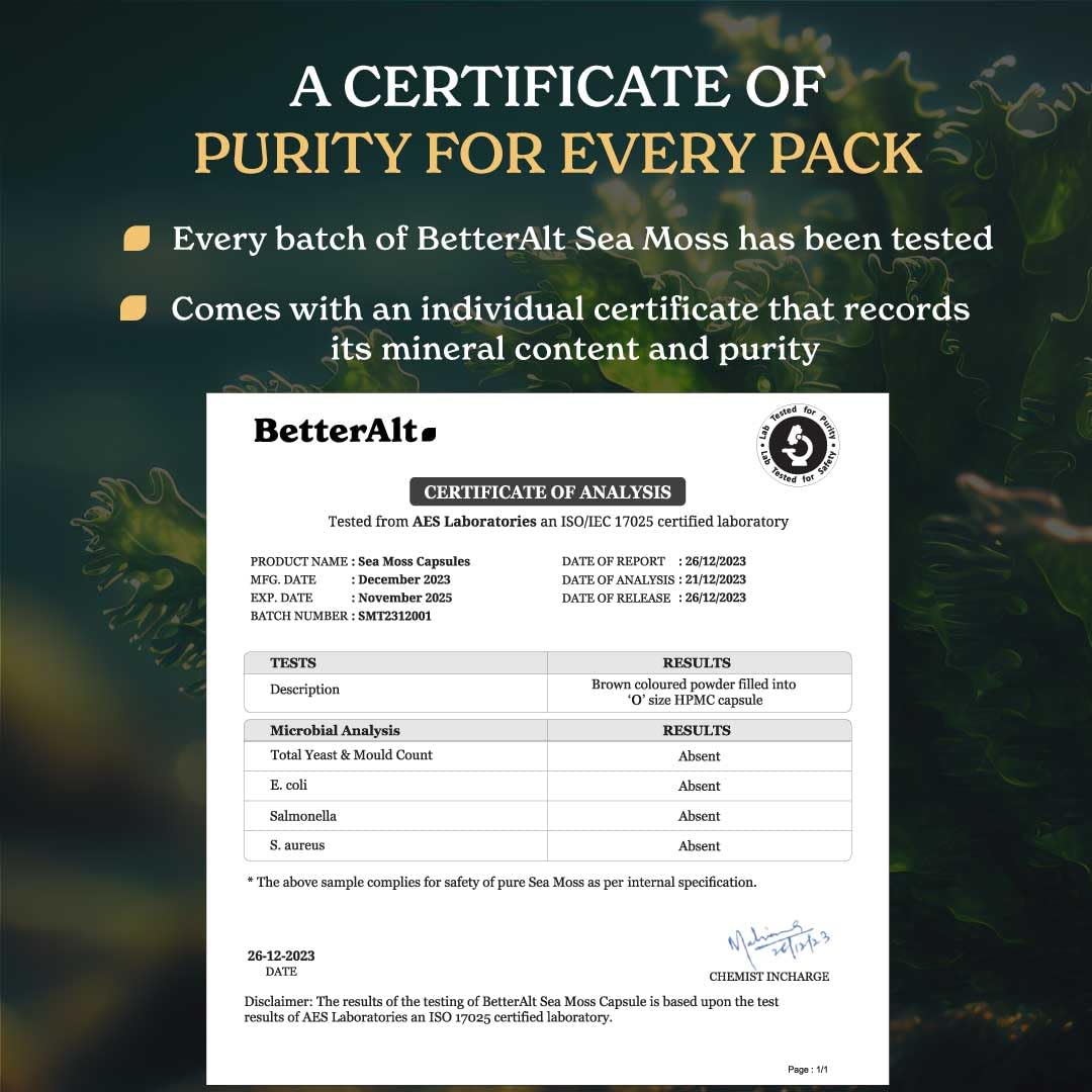 Better Alt Sea Moss Capsules- Irish Sea Moss with Black Seed Oil, Ashwagandha & Black