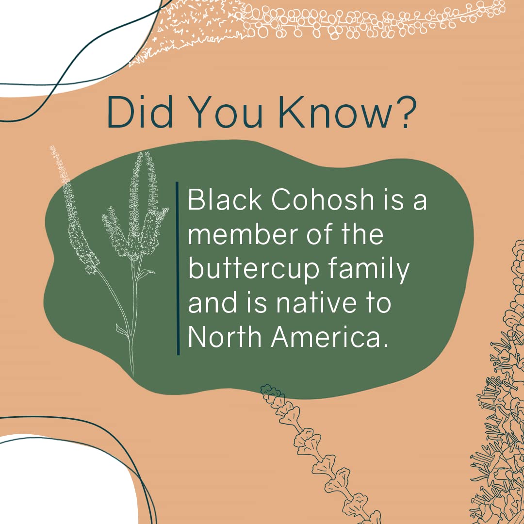 OWL Balance - Menopause Support for Women - Menopause + Perimenopause Relief