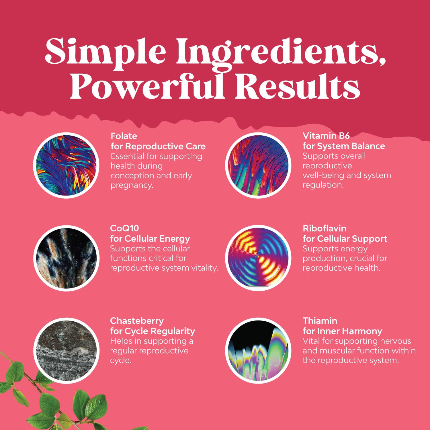 Fertility Supplement for Women with Prenatal Multivitamins - Female Fertility Support