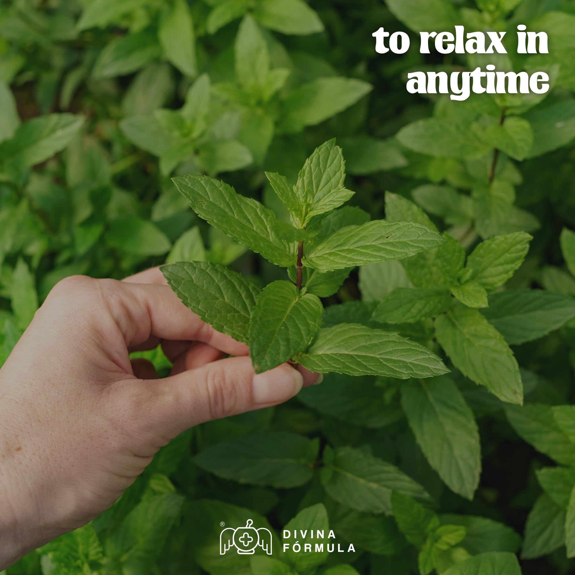 Divina Fórmula - 100% Pure Peppermint Essential Oil - Aromatherapy Oils, Essential Oils - Oil for Massage