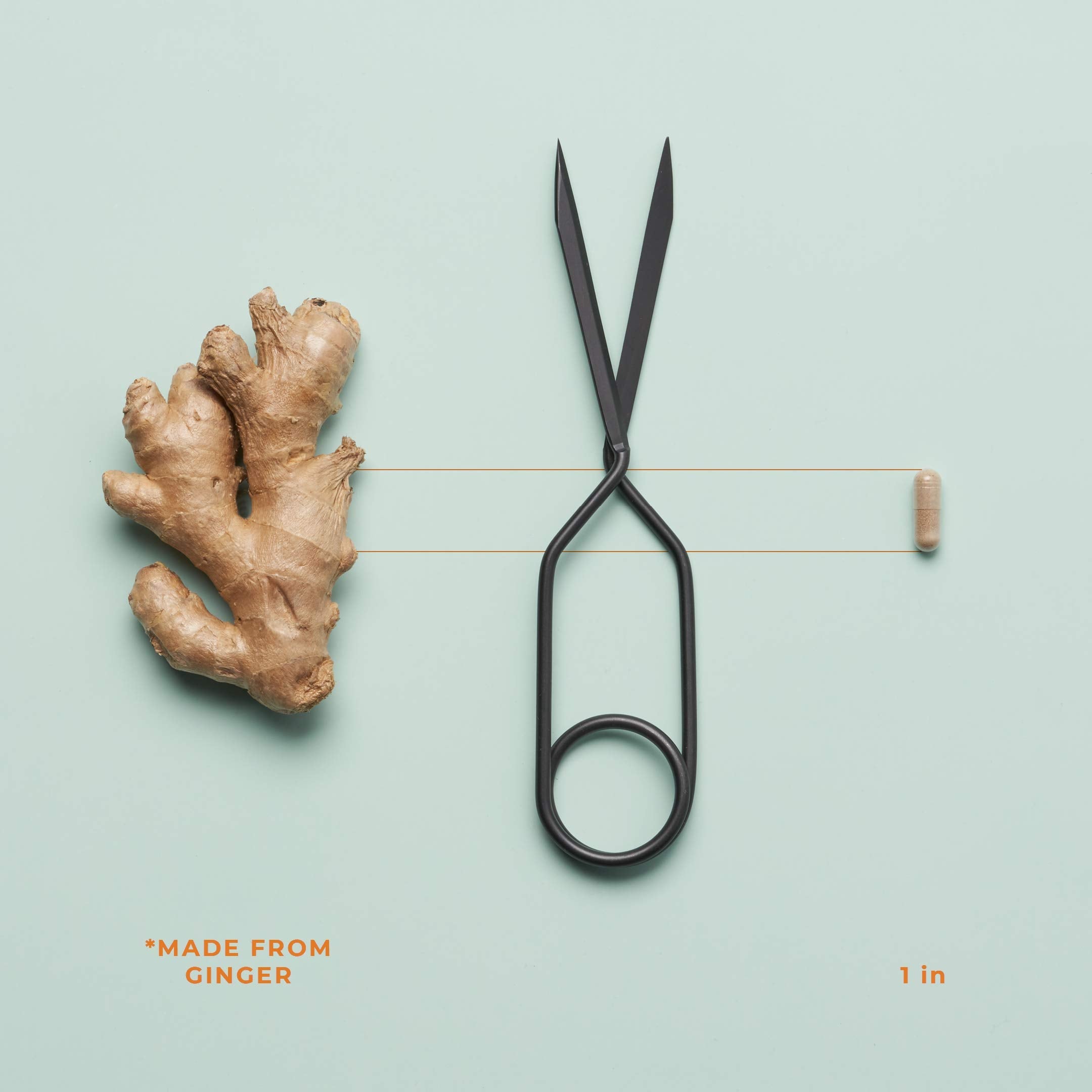 PreMense-T - PMS Relief Supplement - Ginger, Cramp Bark, Black Cohosh, Dong Quai, Chasteberry & Vitamin B6