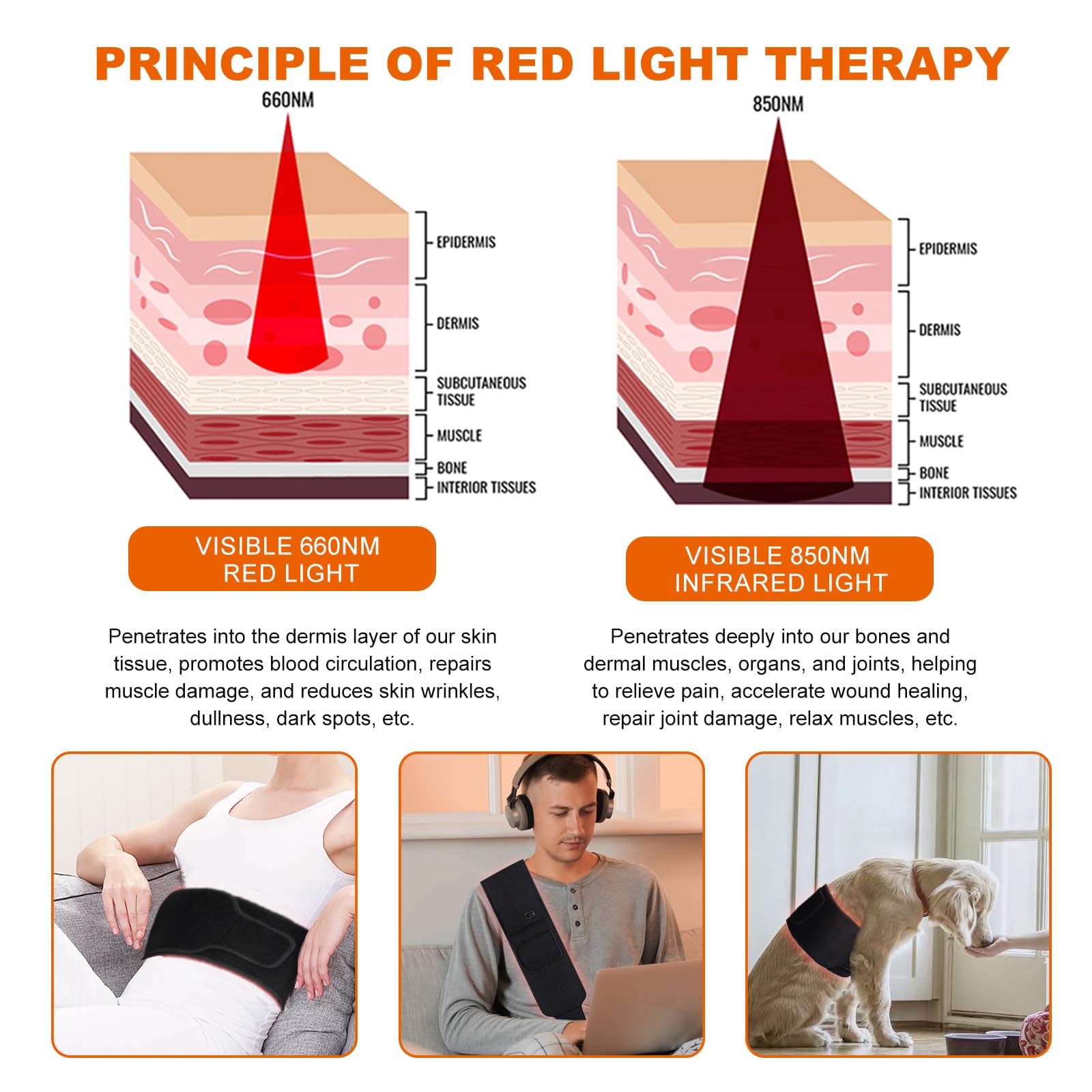 EquiZen Red Light Therapy Belt - Red Light Therapy for Body, Infrared Light Therapy Device