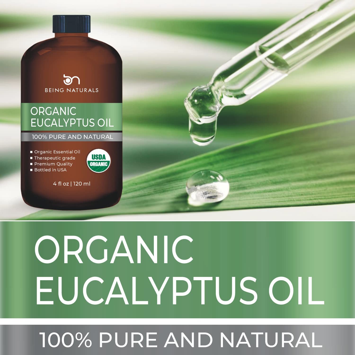 Organic Eucalyptus Essential Oil - Huge 4 FL OZ - 100% Pure & Natural – Premium Natural Oil