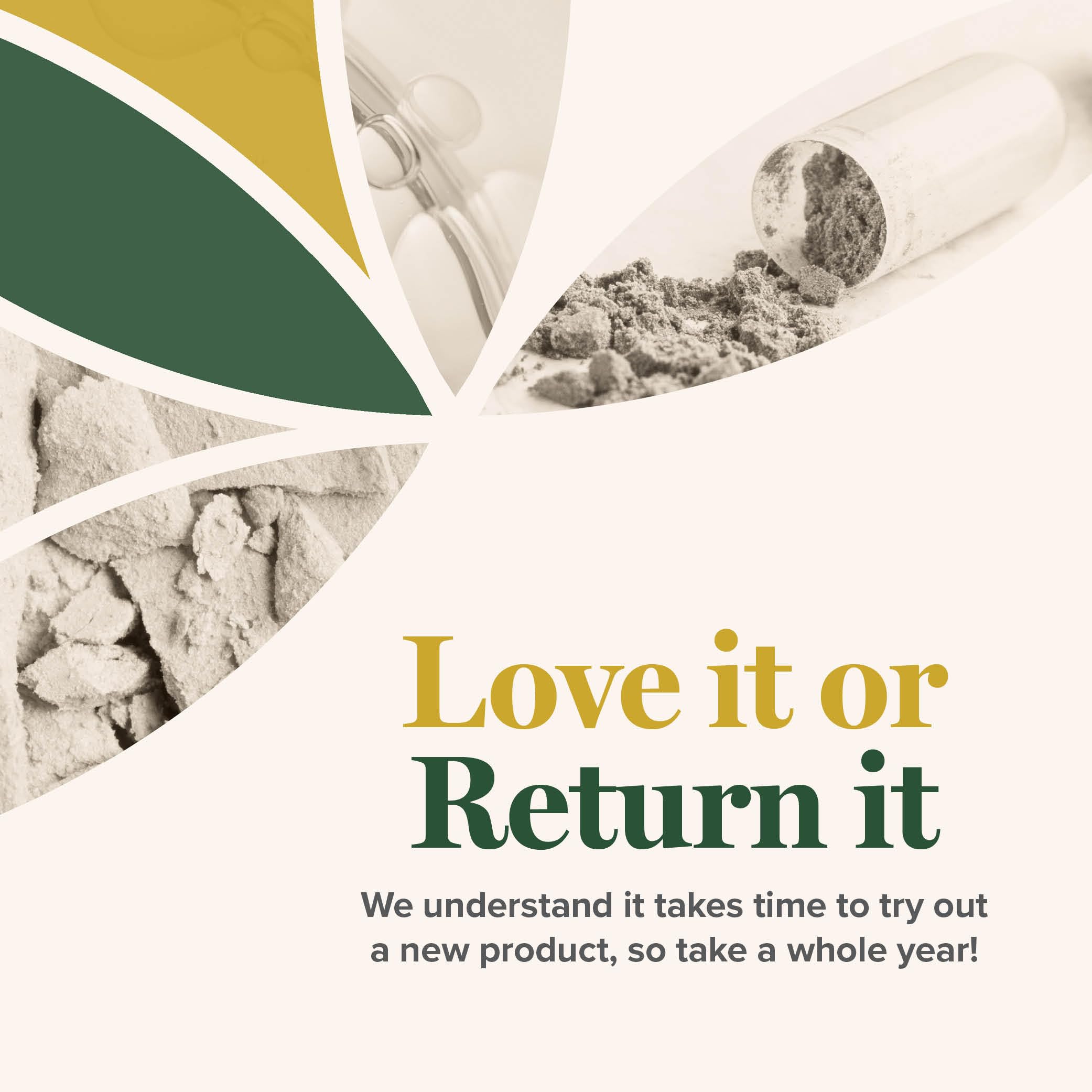 Global Healing Candida Cleanse (Mycozil) - Supports Detoxification for Natural Candida Cleanse