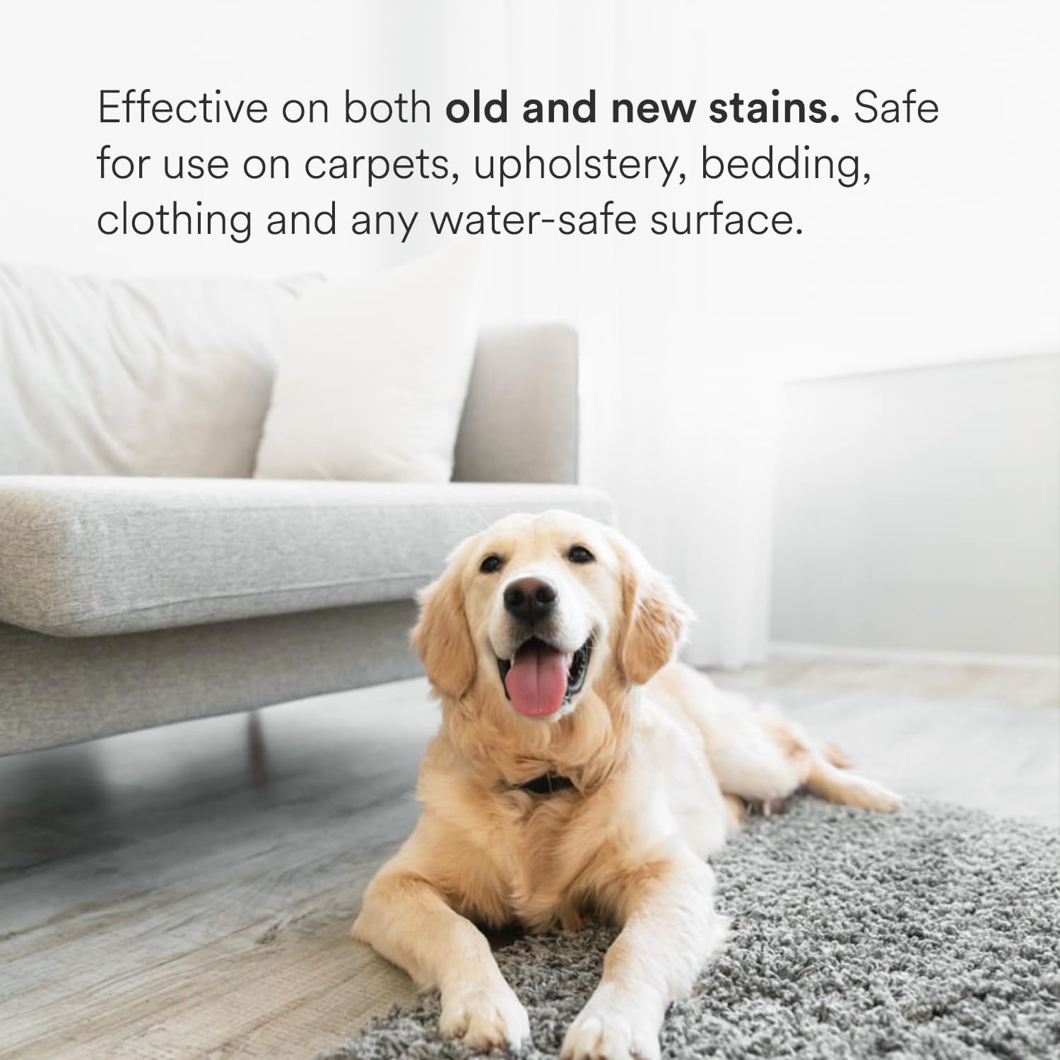 pawTree Oxy Shot Powerful Formula Penetrates Deep and Fast to Permanently Remove Old