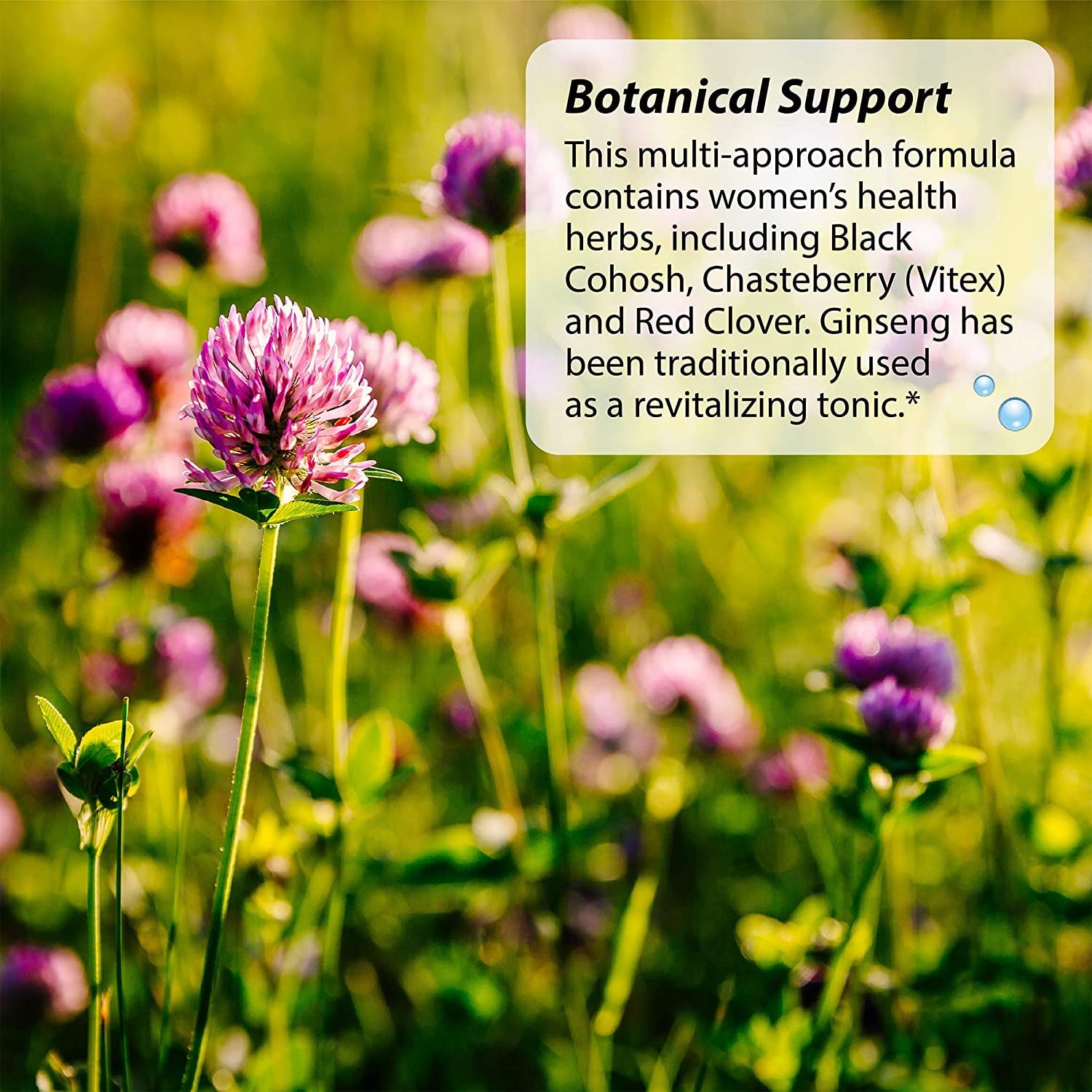 Irwin Naturals EstroPause Menopause & Women's Health Support Supplement