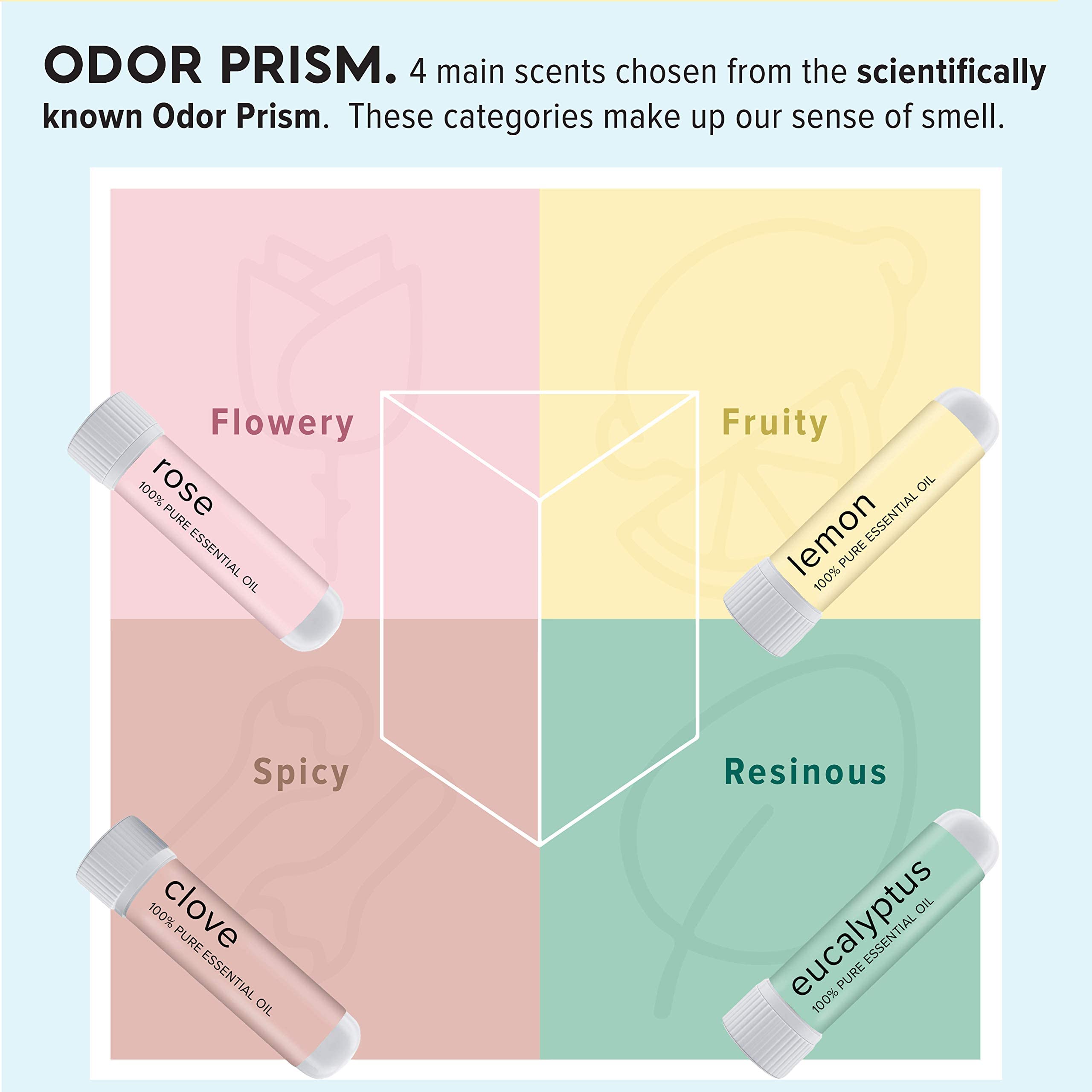 MOXĒ Smell Training Kit, Made in USA, 4 Essential Oils, Olfactory Regeneration, Helps Restore Sense