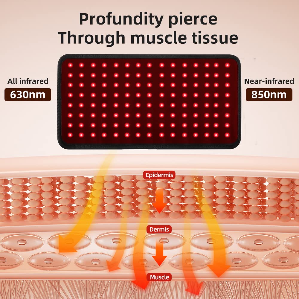 GLAXOSMITHKLINE C.HEALTH.SpA LED Therapy Belt,Infrared Red Light Therapy Belt Device