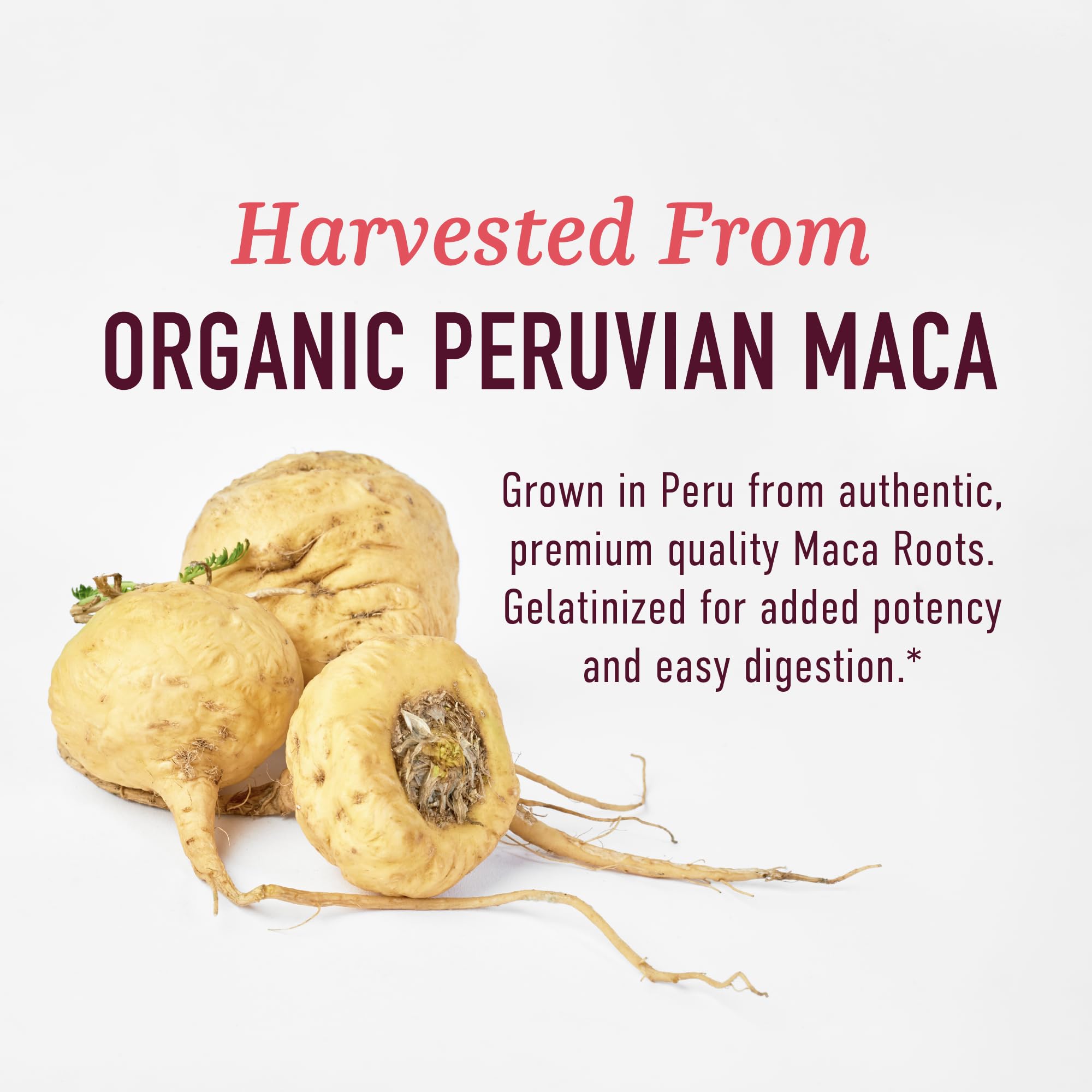 Organic Maca Root Capsules for Women | Peruvian Maca 2250MG Extra Strength