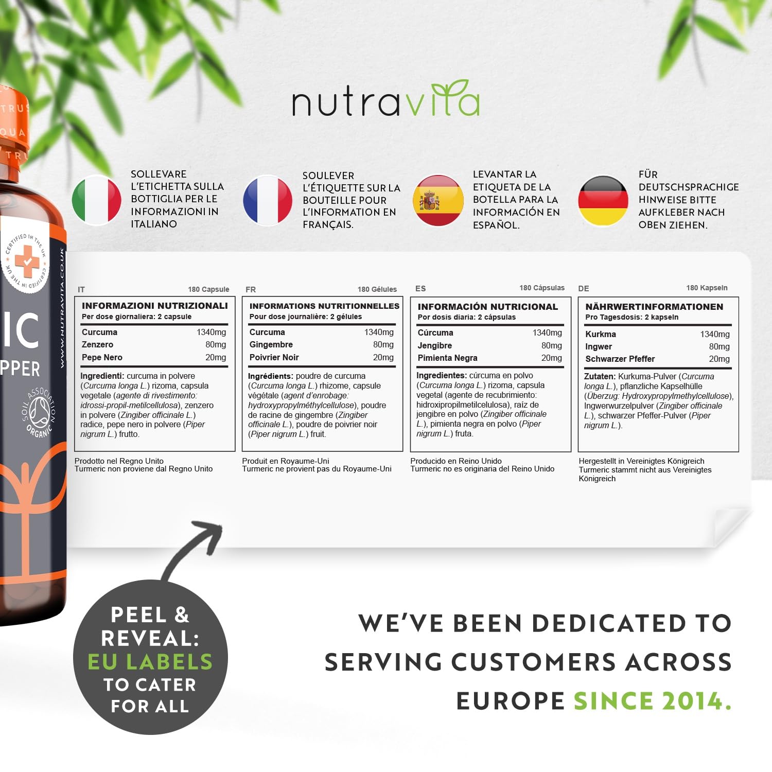 Organic Turmeric 1440mg (High Strength) with Black Pepper & Ginger - 180 Vegan Turmeric