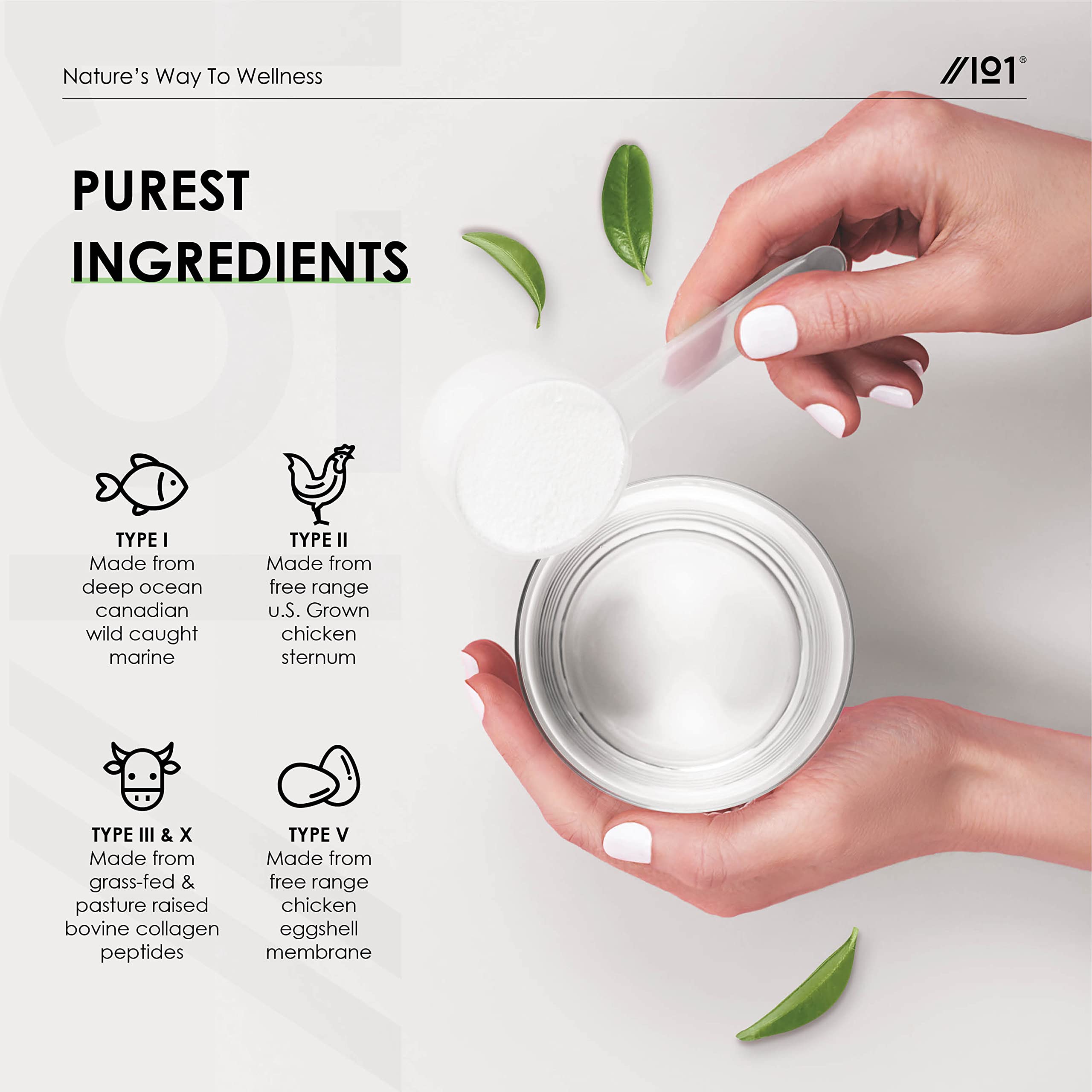 Multi Collagen Protein Powder (400g) - Types I, II, III, V & X - Hydrolyzed Grass Fed Bovine, Wild Caught Fish