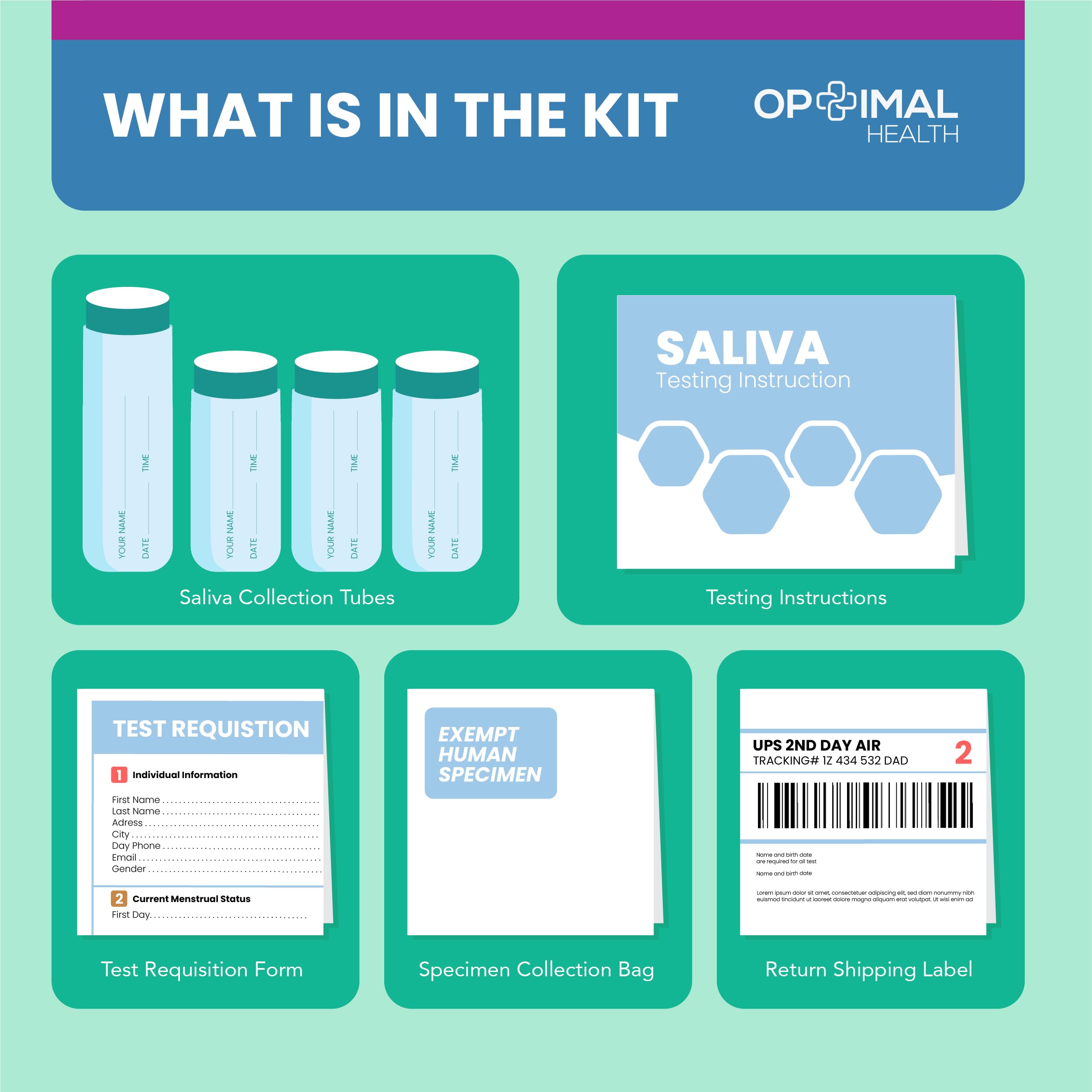 Estradiol (E2) & Progesterone (PG) | Saliva Hormone Test Kit for Women | Progesterone Deficiency
