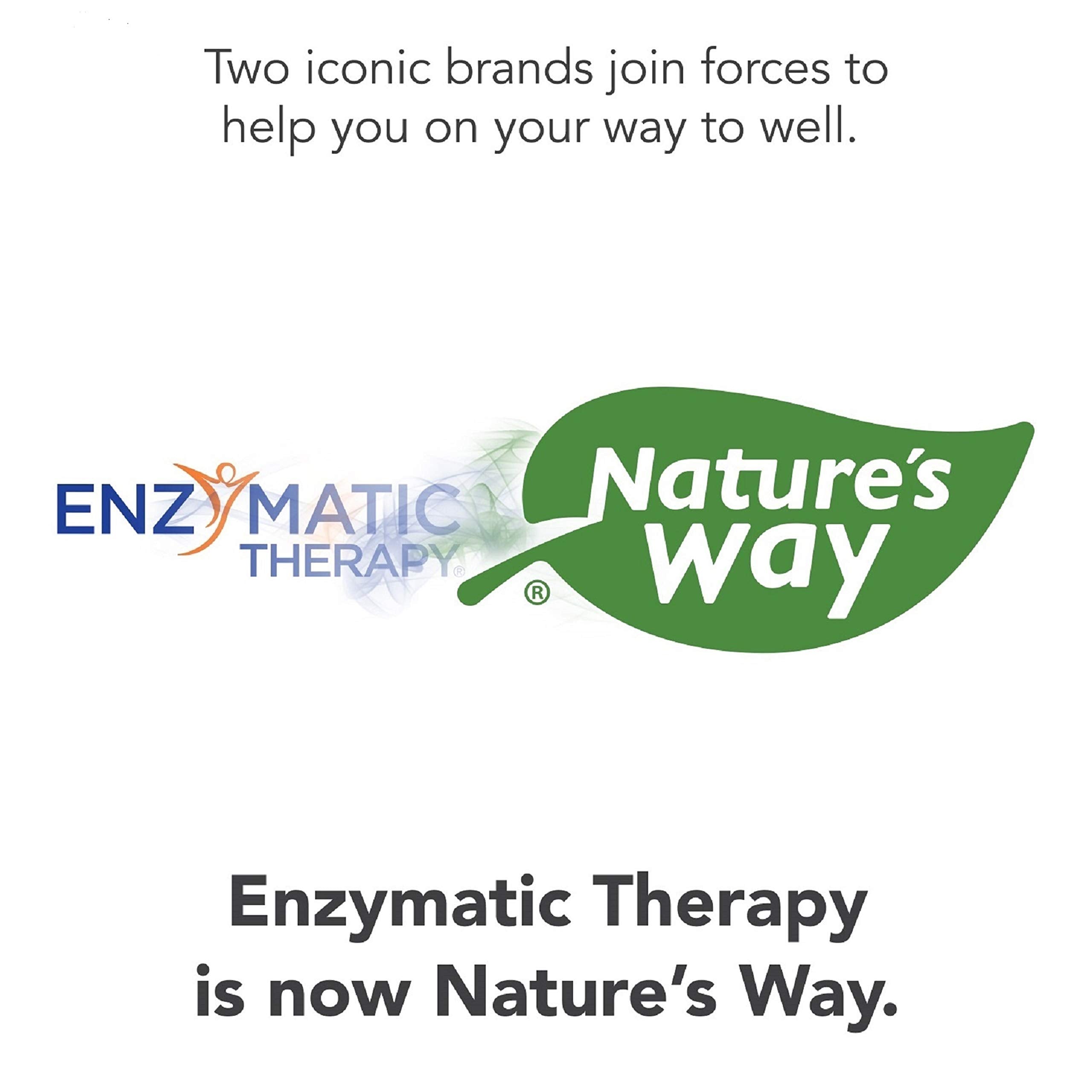 Nature's Way AM/PM PeriMenopause and Menstrual Cycle Symptom Support