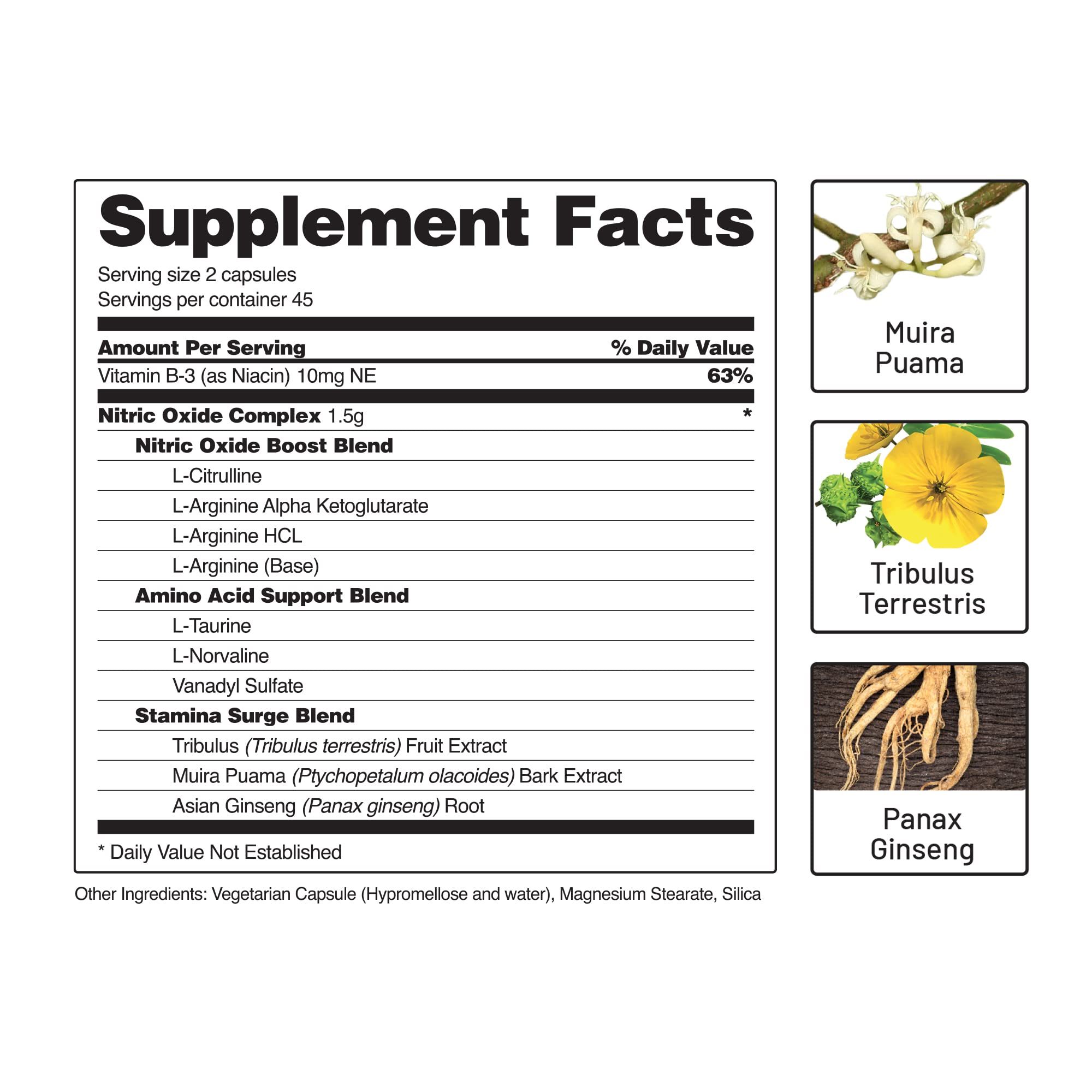 Snap Supplements Nitric Oxide Booster, Nitric Oxide Supplement for Blood Circulation