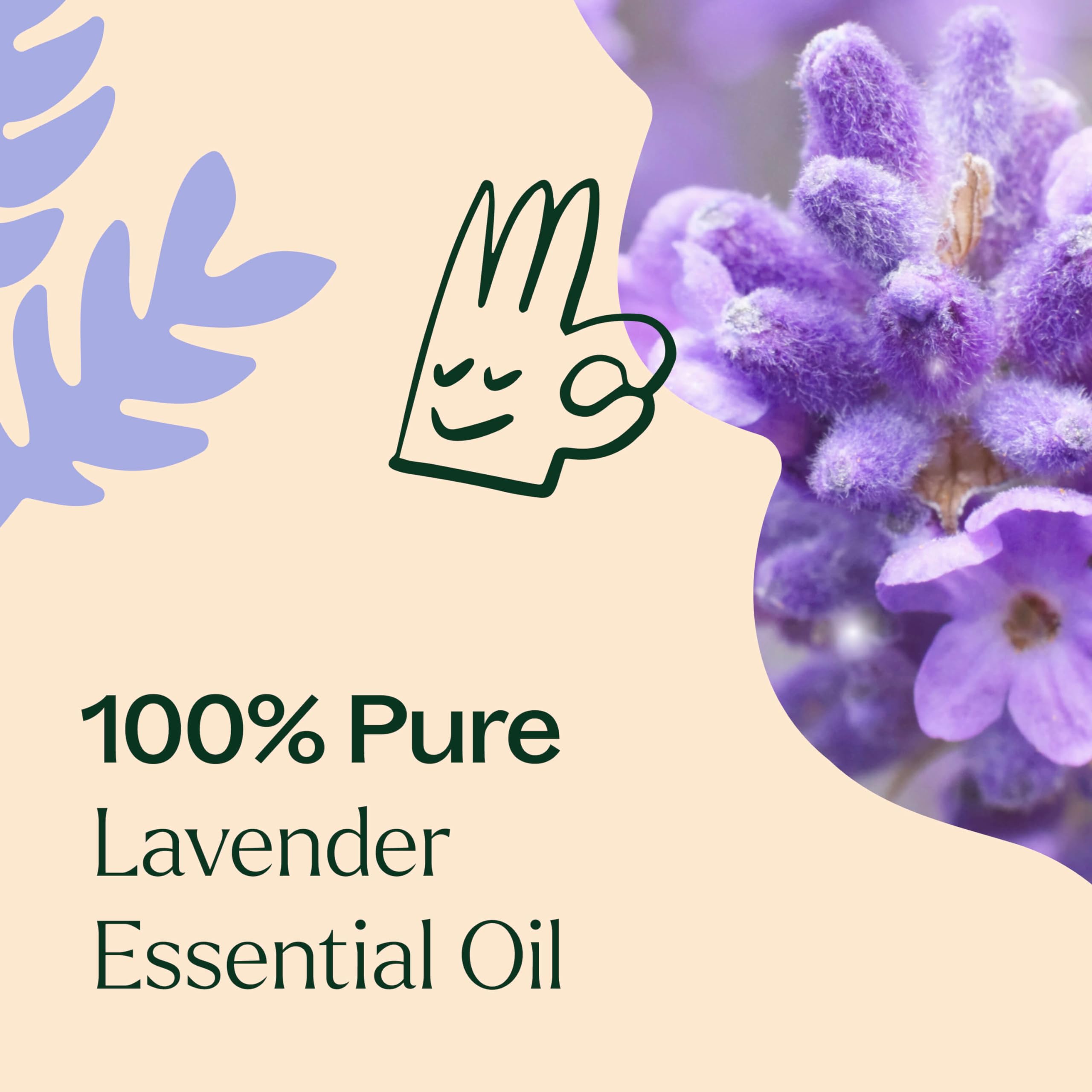 Plant Therapy Lavender Essential Oil 100% Pure, Undiluted, Therapeutic Grade, Aromatherapy Diffuser