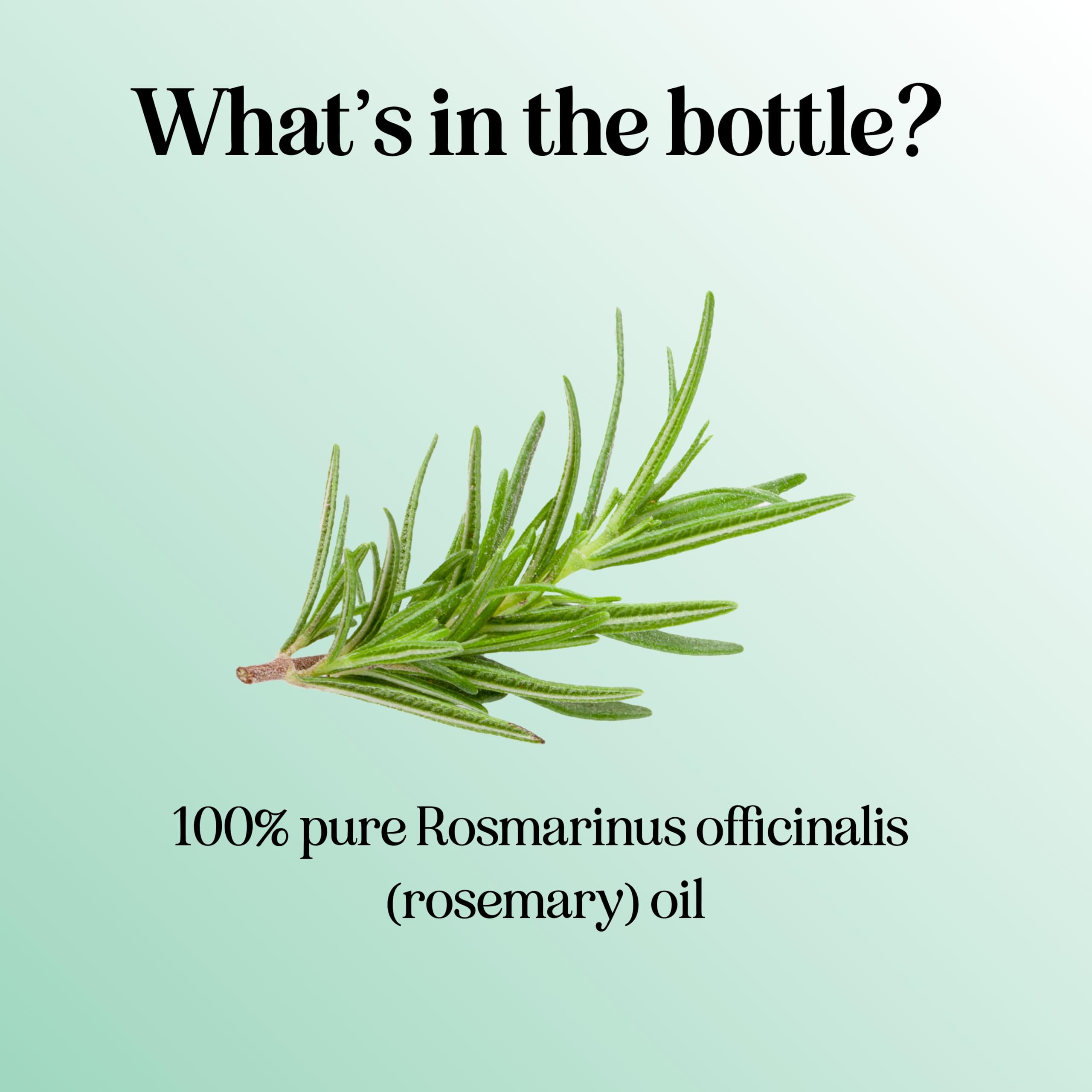 Pure Rosemary Essential Oil for Aromatherapy - Pure Rosemary Oil for Hair Skin and Nails
