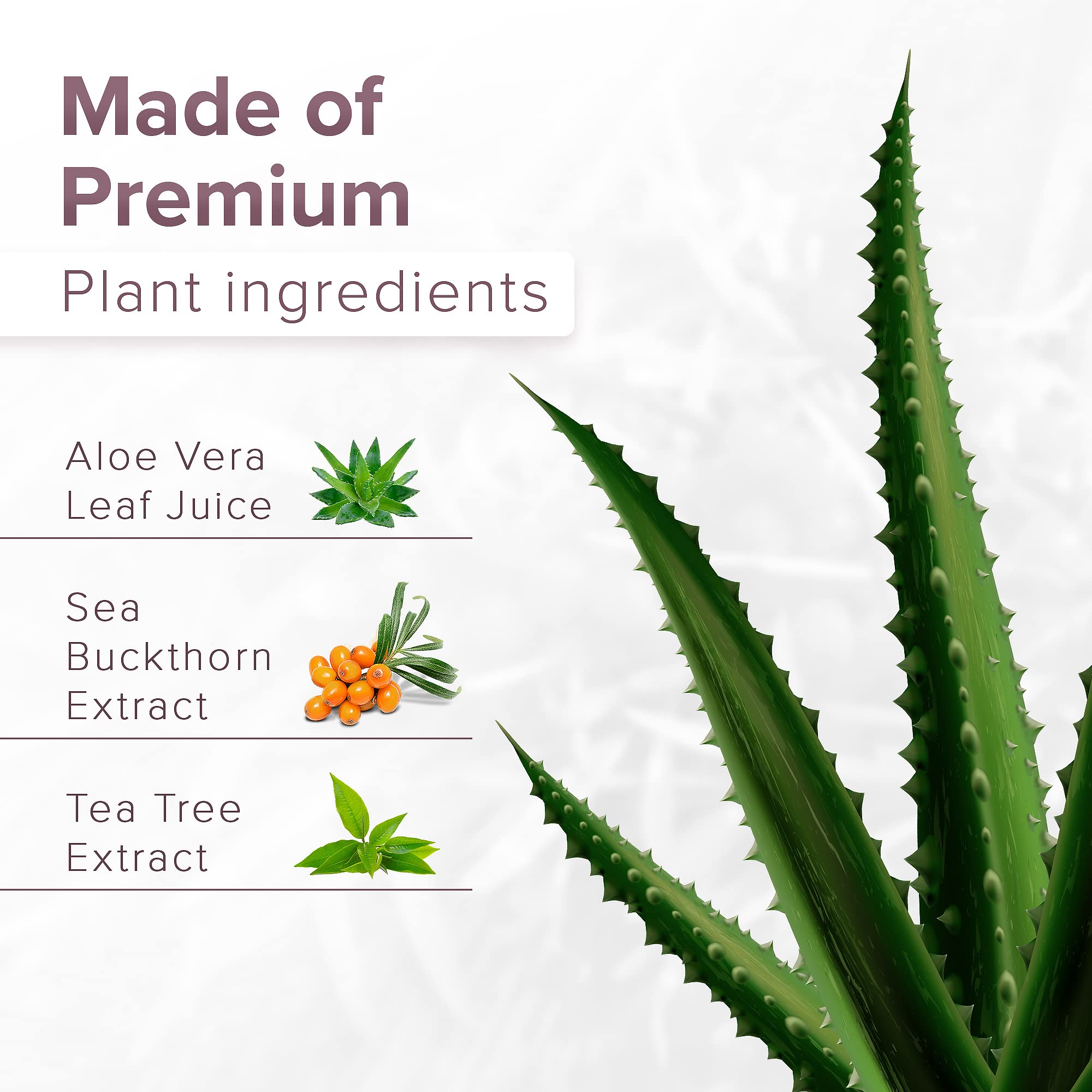 DR. SCHAVIT FEMOXIL Vaginal Suppositories - Natural Plant-Based Formula for The Treatment of Bacterial