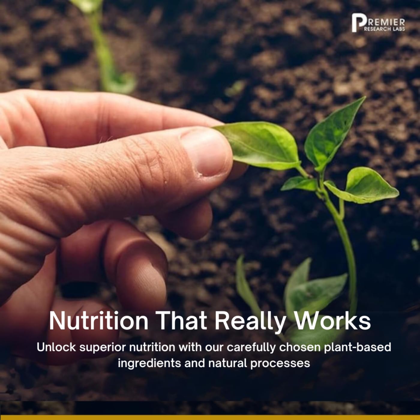 Premier Research Labs Fem Balance-FX - Supports Menstrual Cycles & Regularity - with Chaste Tree Fruit