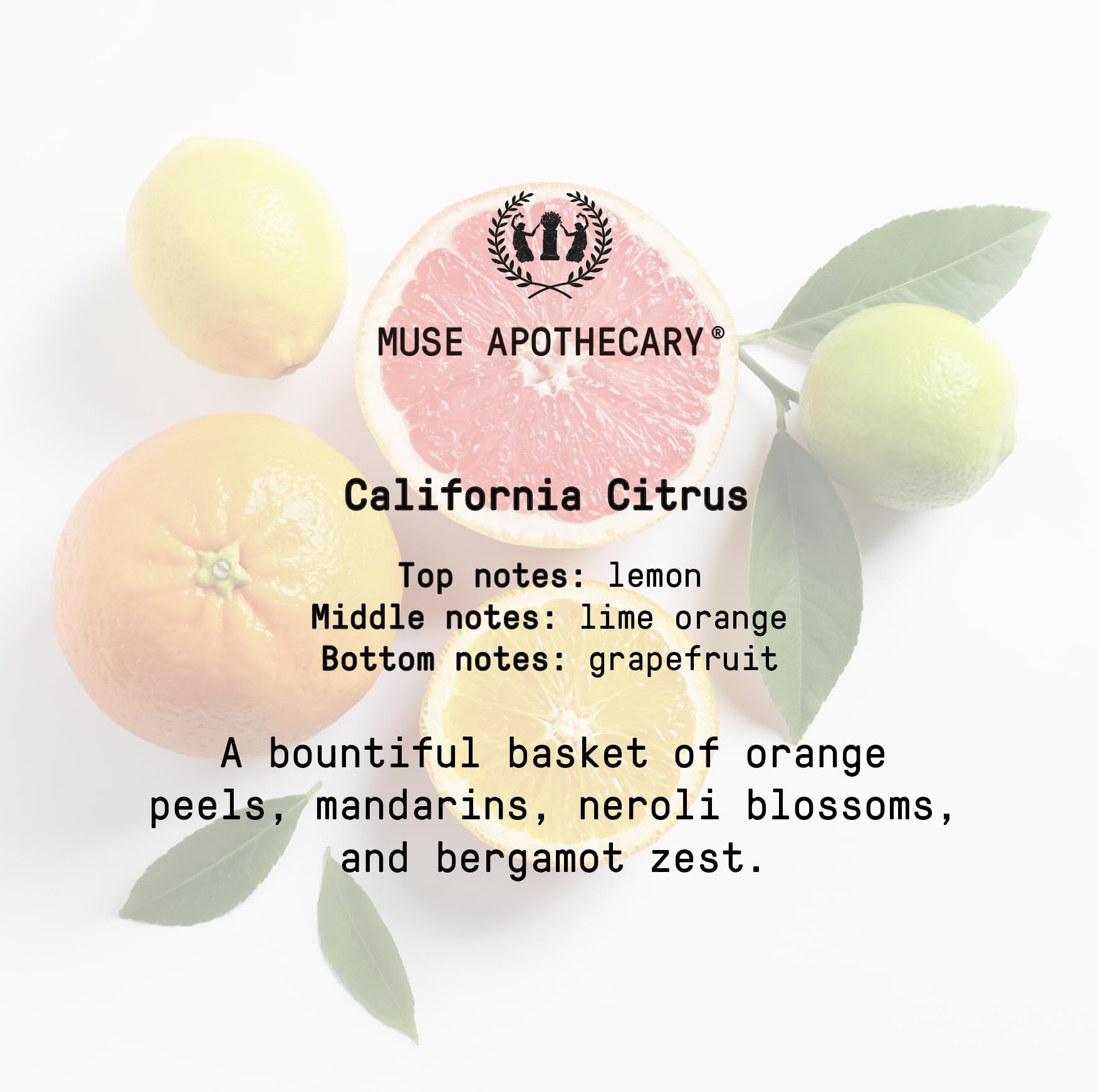 Muse Bath Apothecary Room Ritual - Aromatic and Relaxing Room Mist, 8 oz, Infused