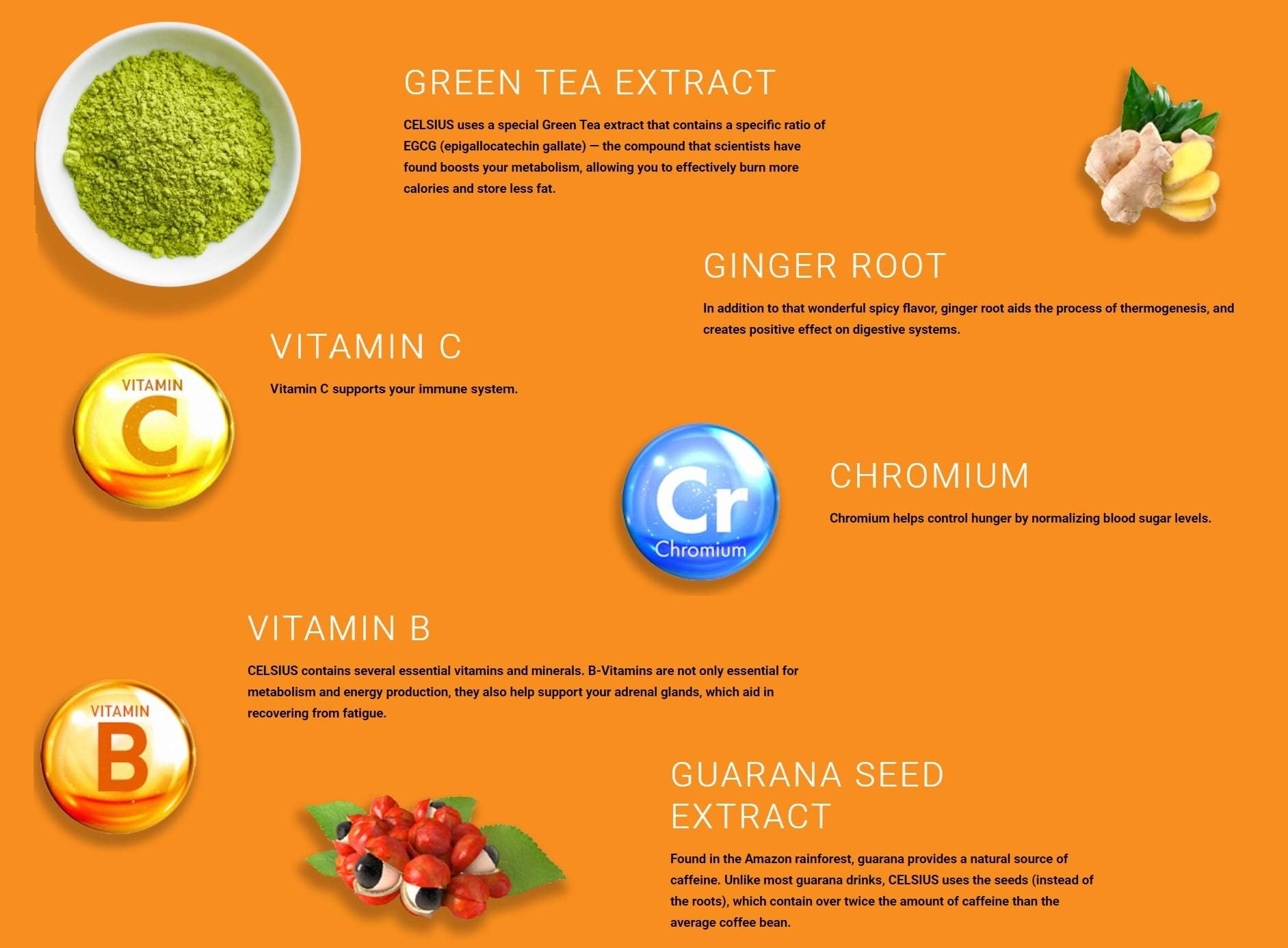 CELSIUS Dragonfruit Lime On-the-Go Powder Stick Packs, Zero Sugar 14 Count(Pack of 1)