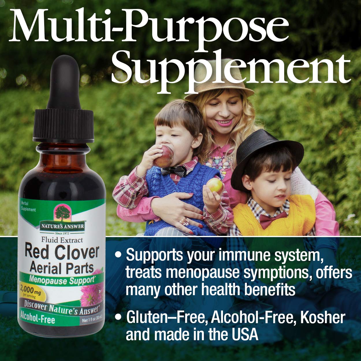Nature's Answer Red Clover Extract Supplement Alcohol Free 1 Oz (Pack of 4) | Natural Mood Support