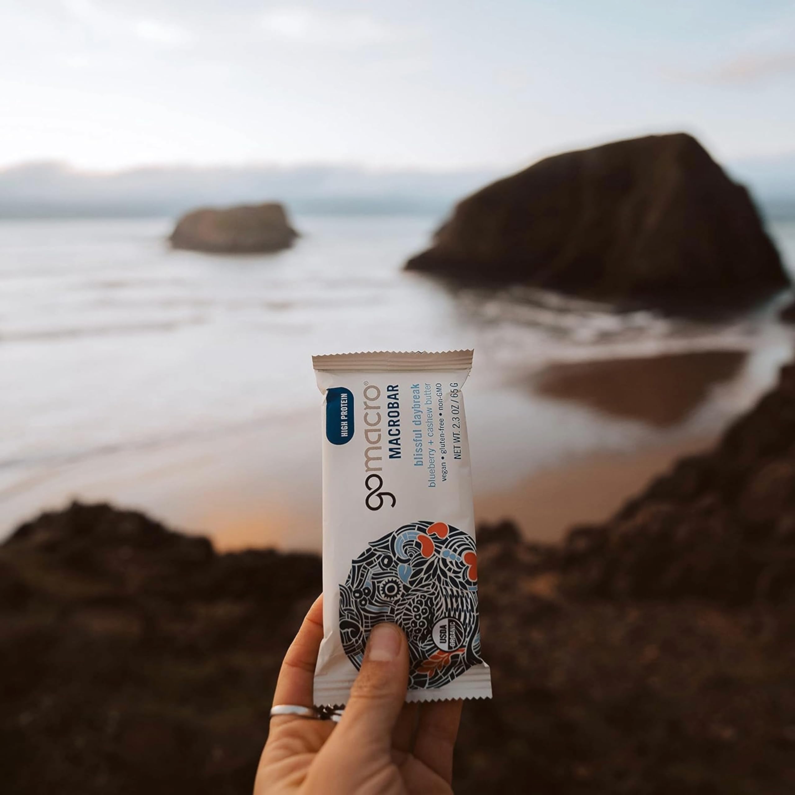 GoMacro Macrobar Organic Vegan Protein Bars - Blueberry + Cashew Butter , 2.3 Ounce