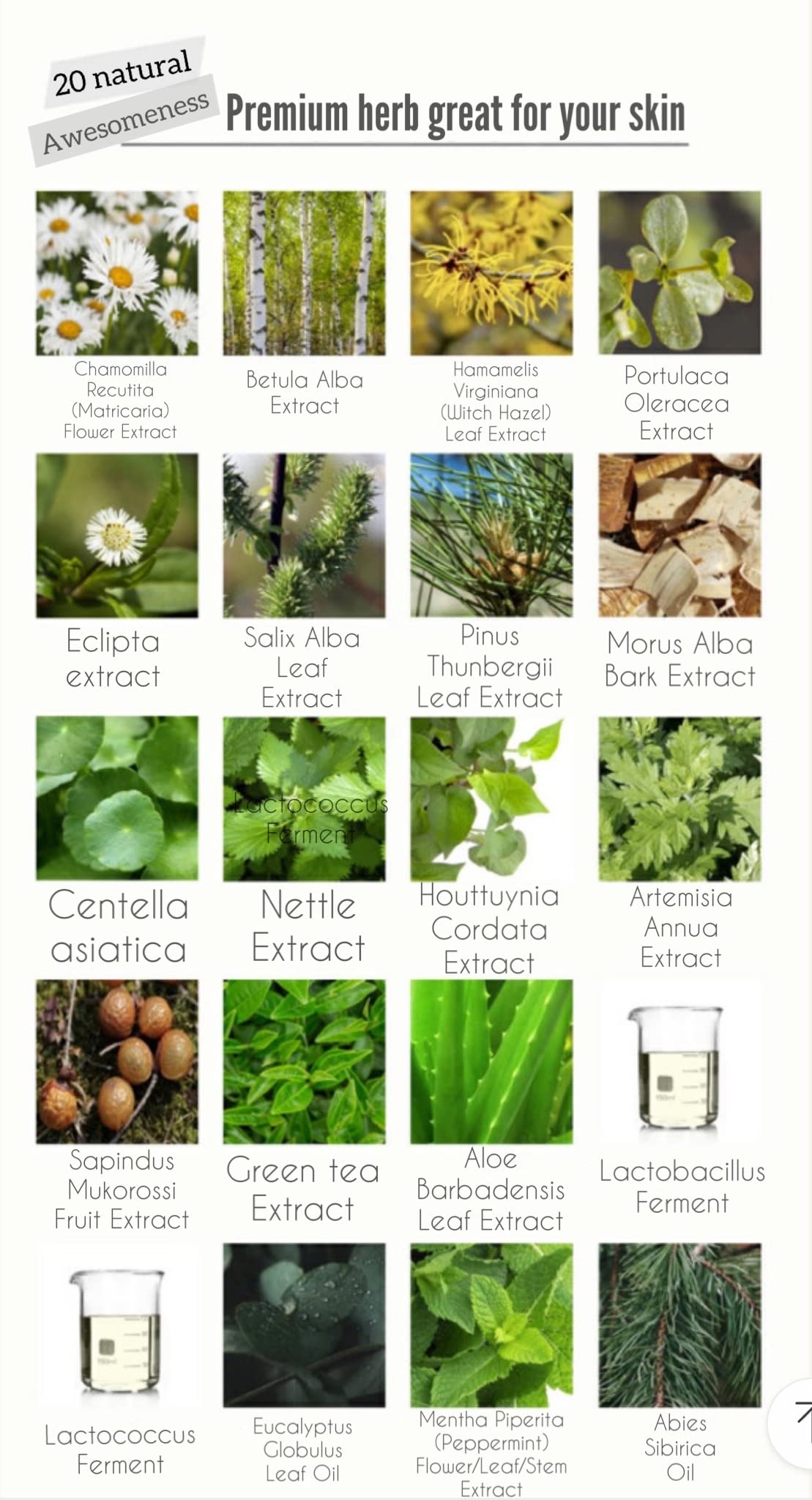 DHI PROBIOTIC Certain Intimate Wash for Men with 3 kinds of probiotics plus 20 Premium Natural