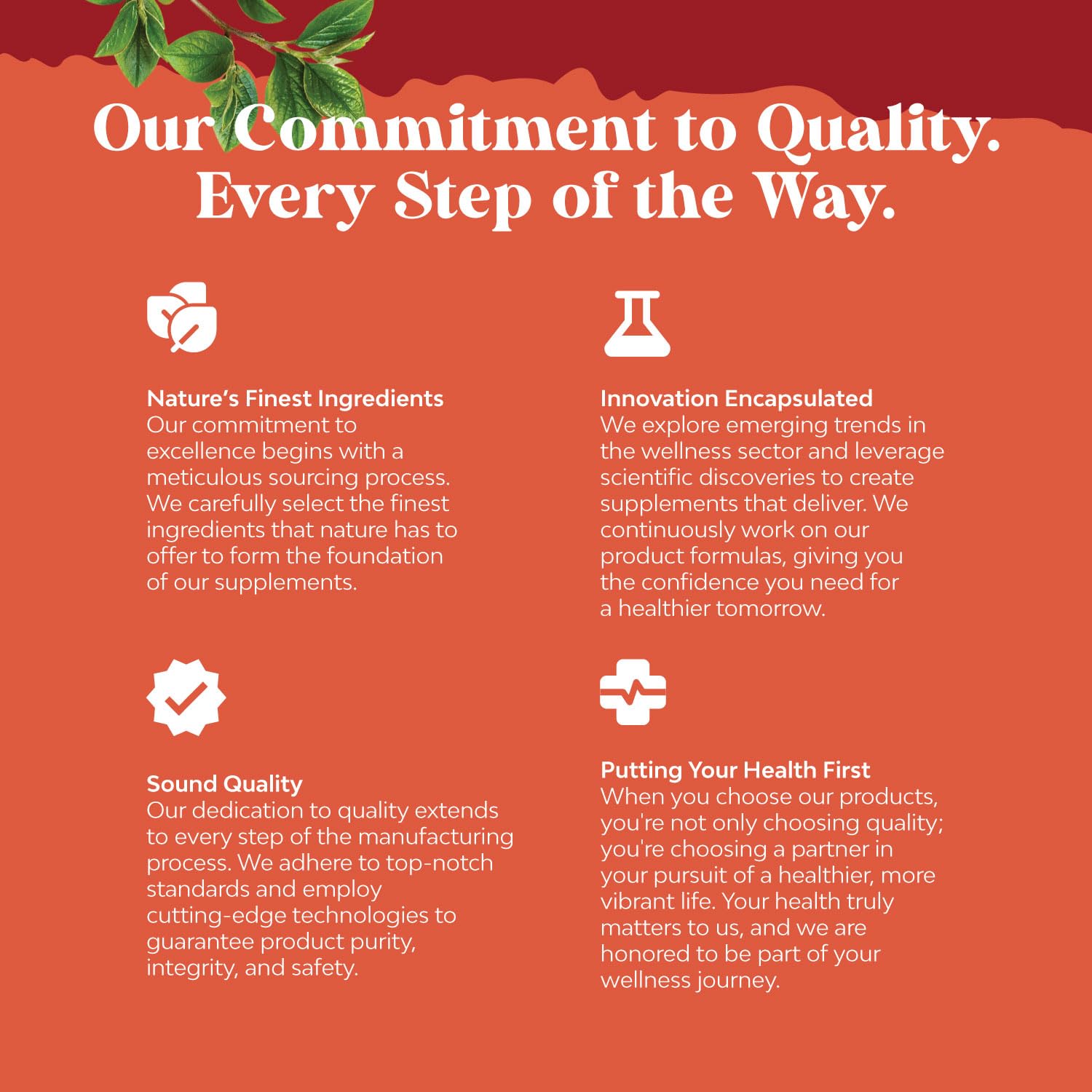 Chia Seed Oil Supplement for Weight Loss and Energy Natural Superfood Protein Metabolis