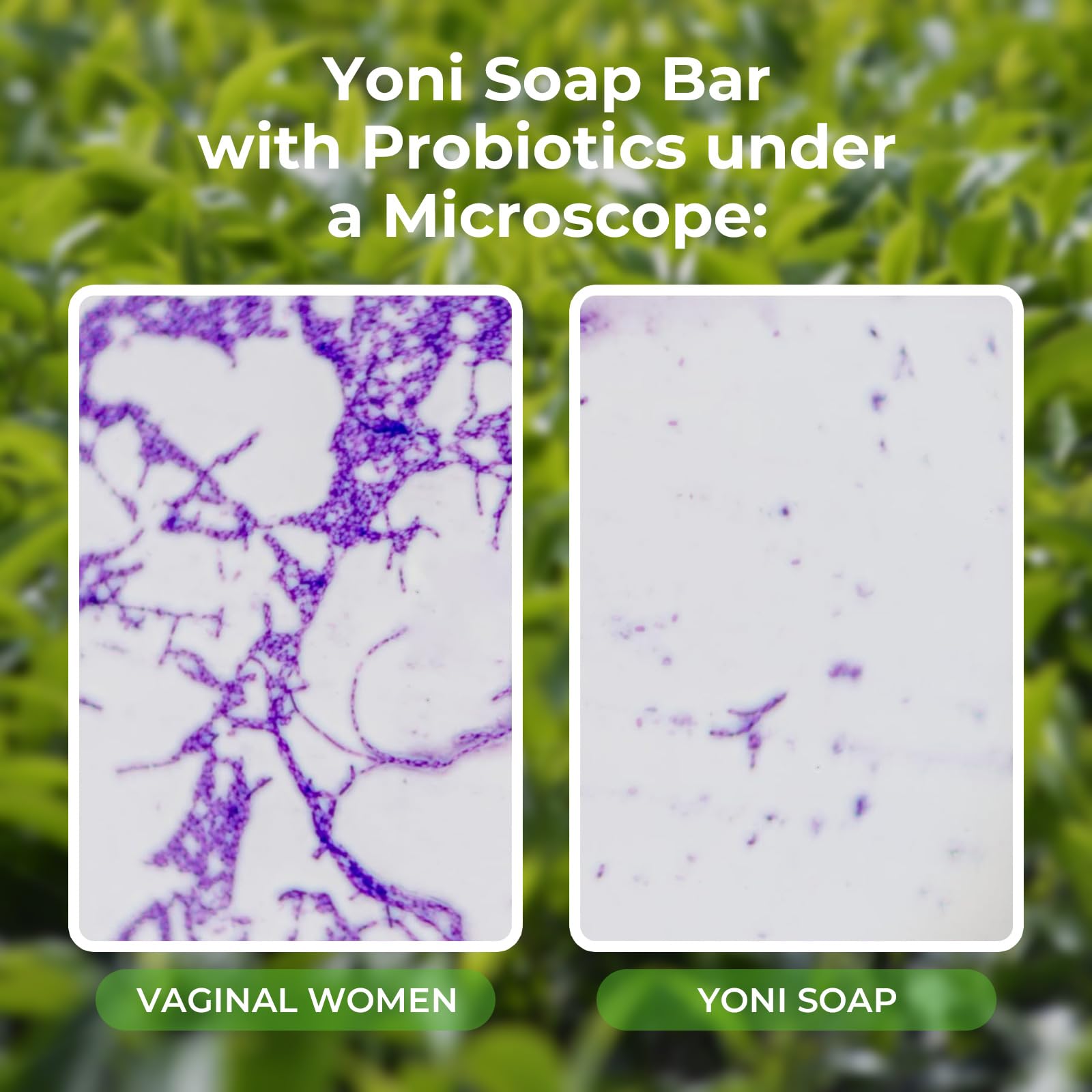 Feminine Wash & Yoni Oil & Yoni Soap Tea Tree Set for Women, Yoni Wash for Vaginal Ph Balance Remove