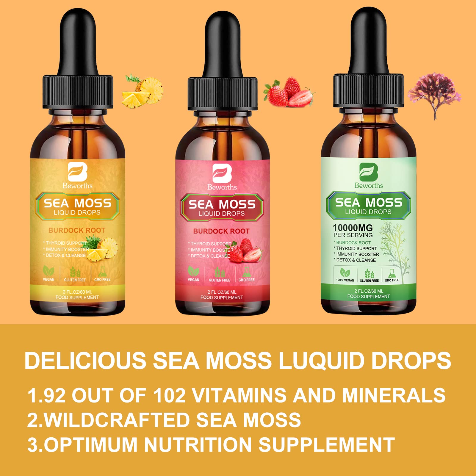 B BEWORTHS Sea Moss Liquid Drops - Organic Irish Sea Moss Gel with Burdock Root