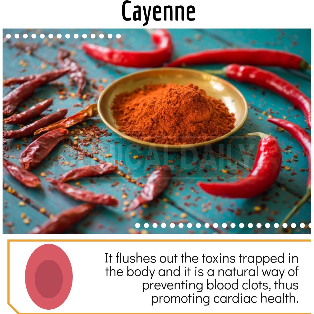Clinical Daily Blood Circulation Supplements. Butchers Broom, Horse Chestnut, Hawthorn