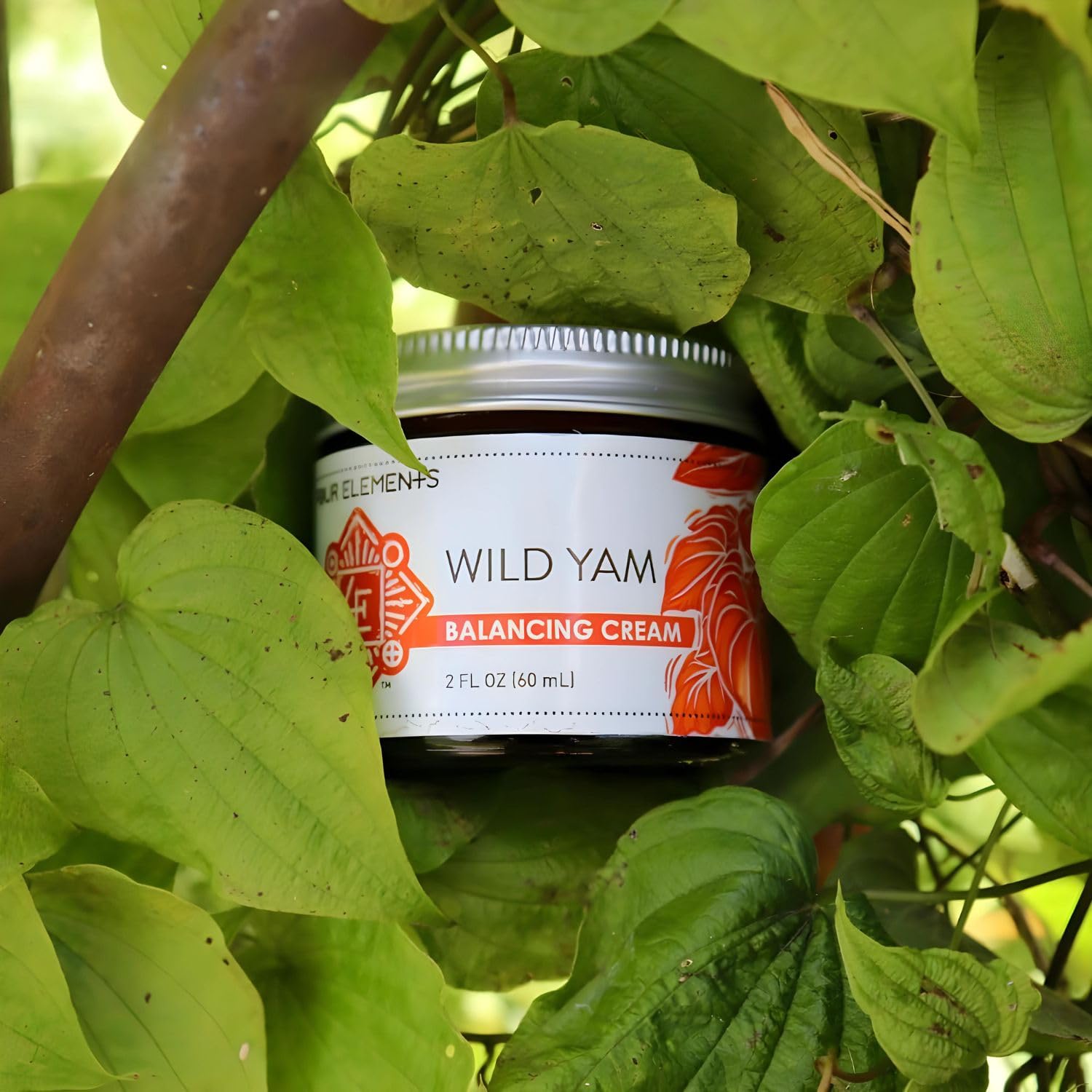 Four Elements 4E Wild Yam Organic Balancing Cream for Women -1st Place Winner
