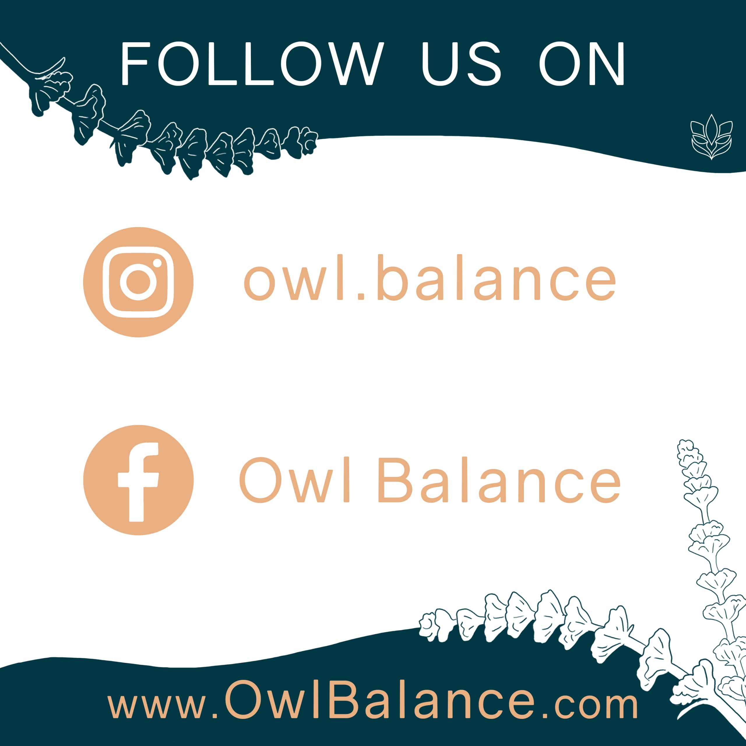 OWL Balance - Menopause Support for Women - Menopause + Perimenopause Relief