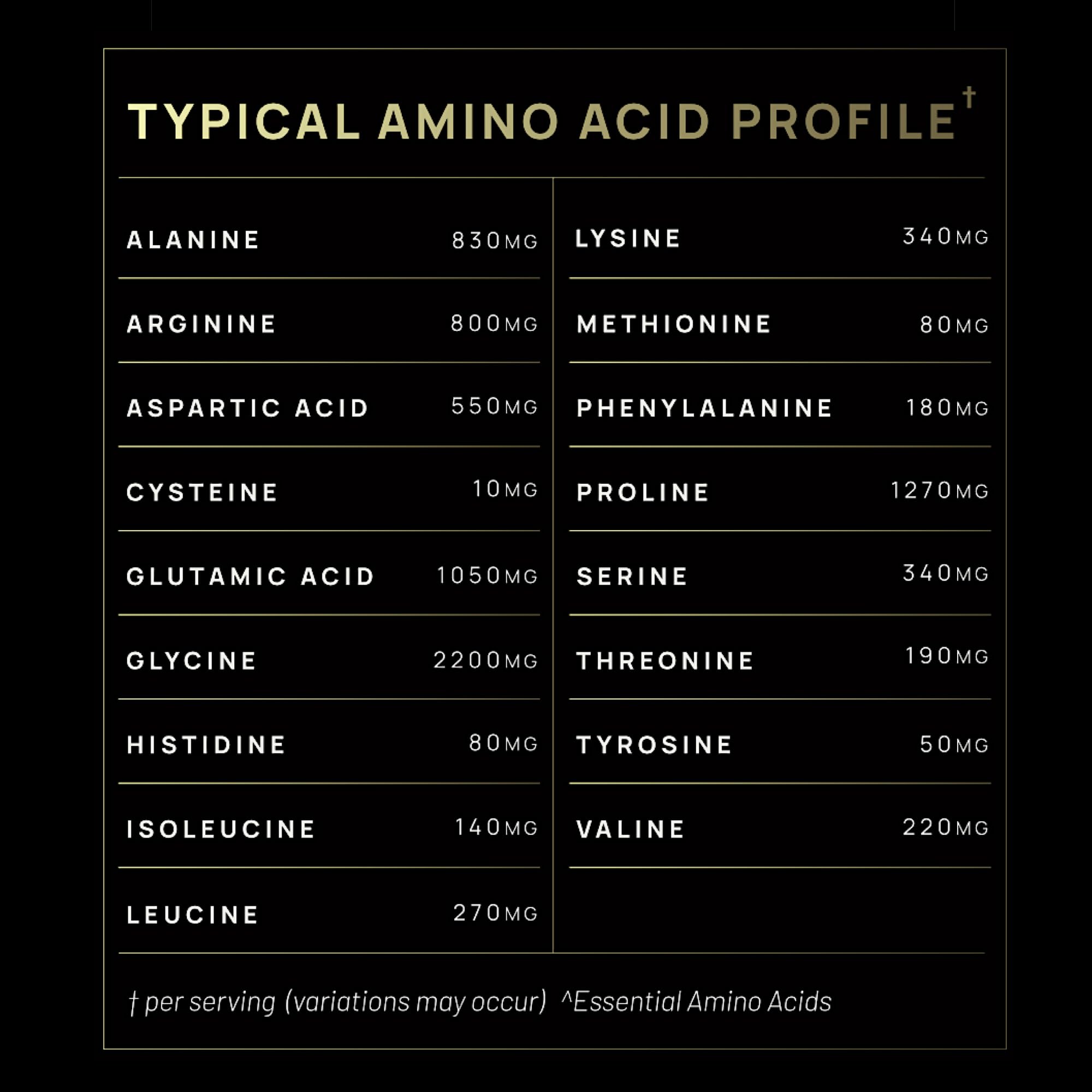 TERRA ELMNT Premium Chocolate Multi Collagen Powder for Women Weight Management