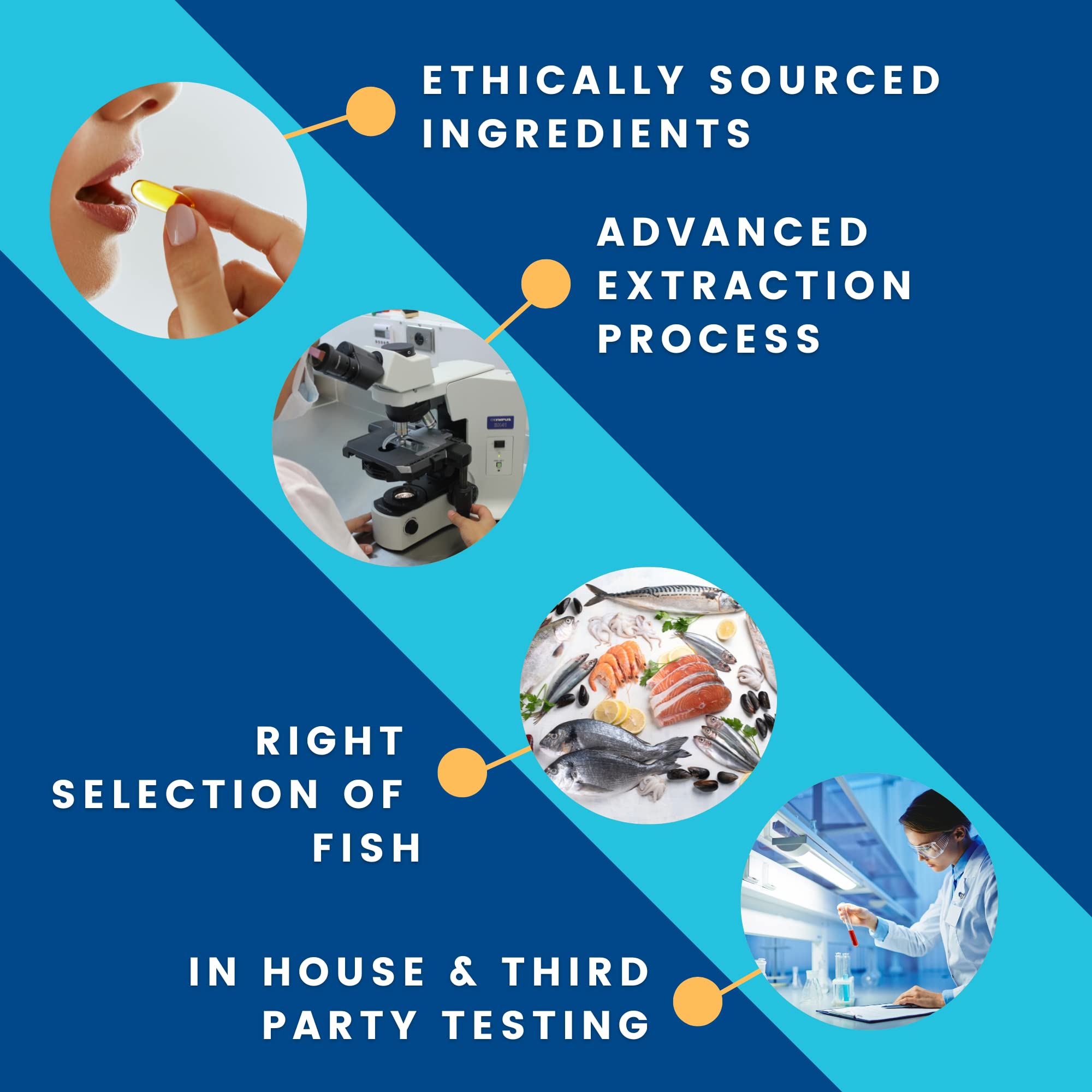 High DHA Omega 3 Fish Oil - CogniDHA - Pharmaceutical Grade - 840 mg Omega-3s - Supercritical CO2