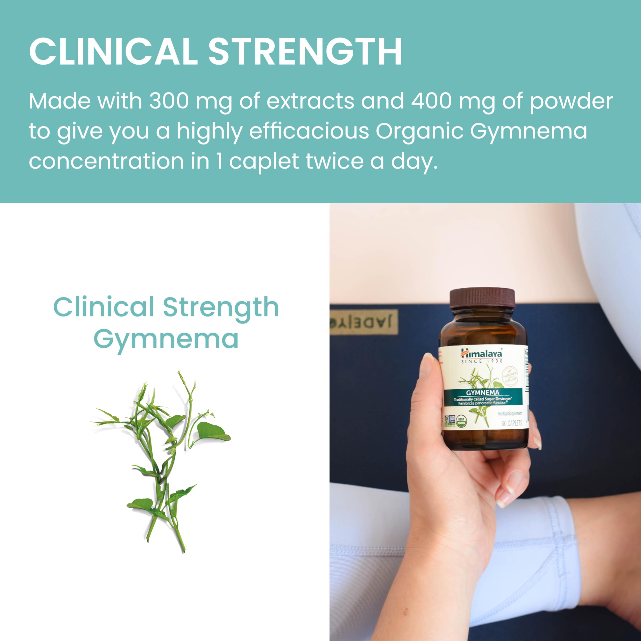 Himalaya Organic Gymnema Herbal Supplement for Weight Management, USDA Certified