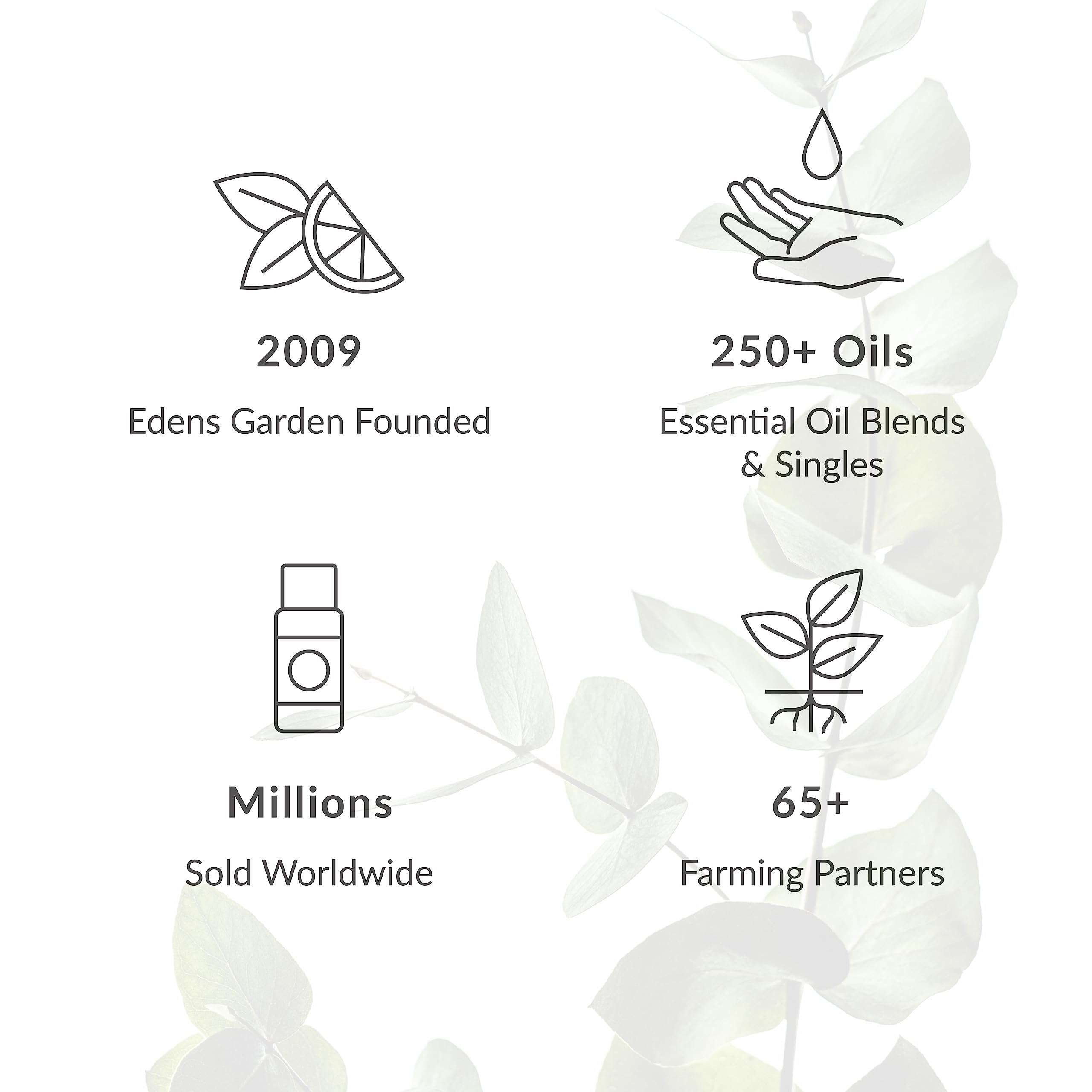 Edens Garden Breathe Easier Essential Oil Synergy Blend, 100% Pure Therapeutic Grade