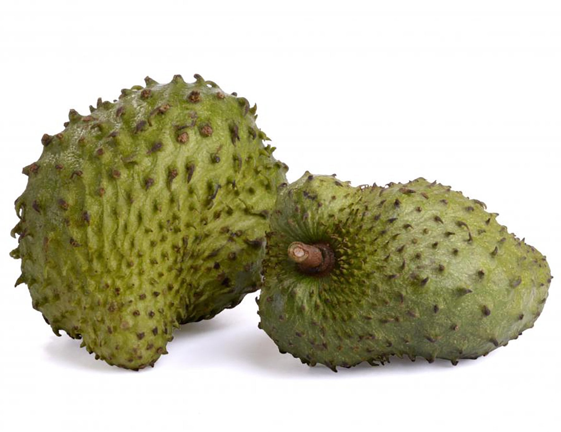 Organic Graviola Liquid Soursop Extract 4 oz Wildcrafted Tincture