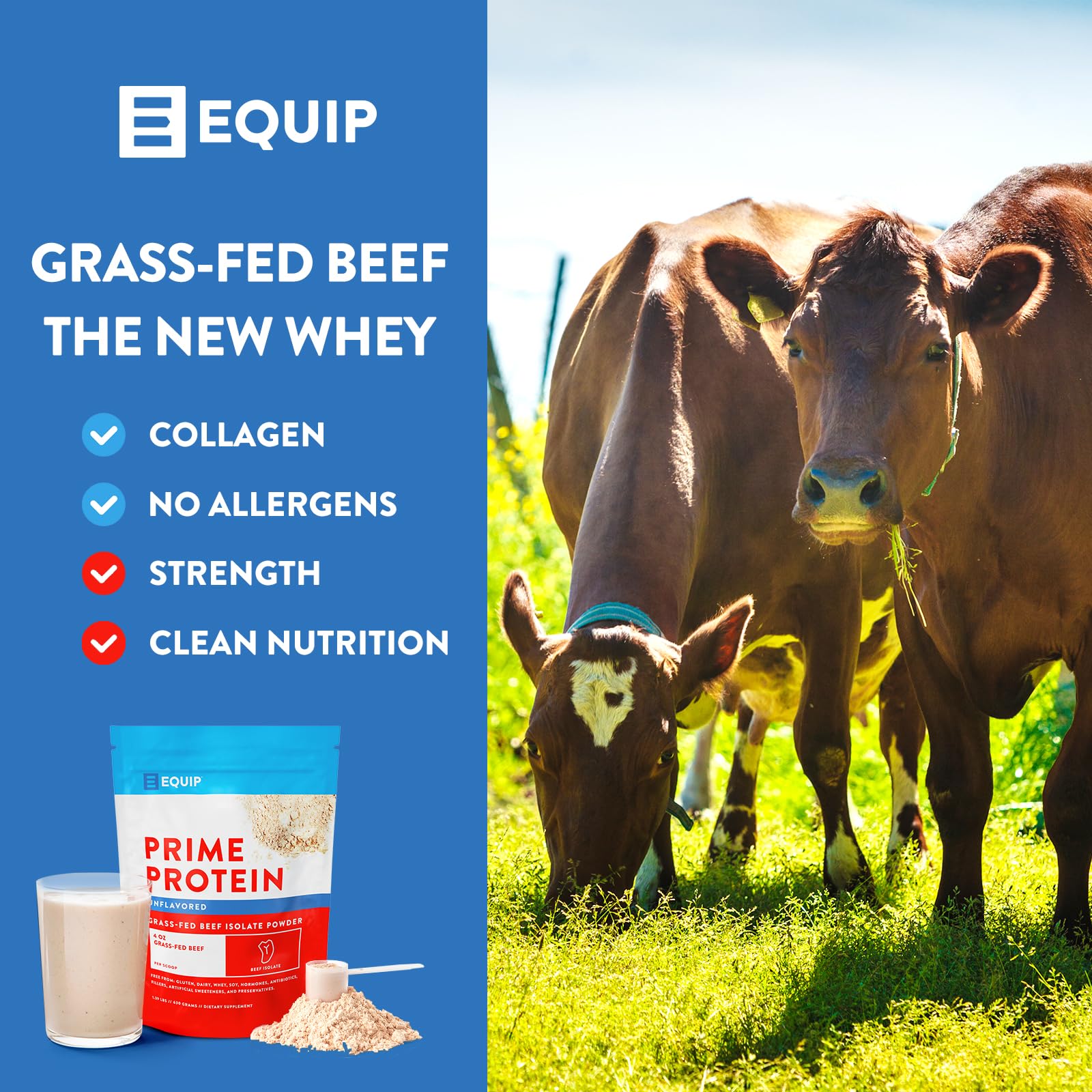 Equip Foods Prime Protein - Grass Fed Beef Protein Powder Isolate - Paleo and Keto Friendl