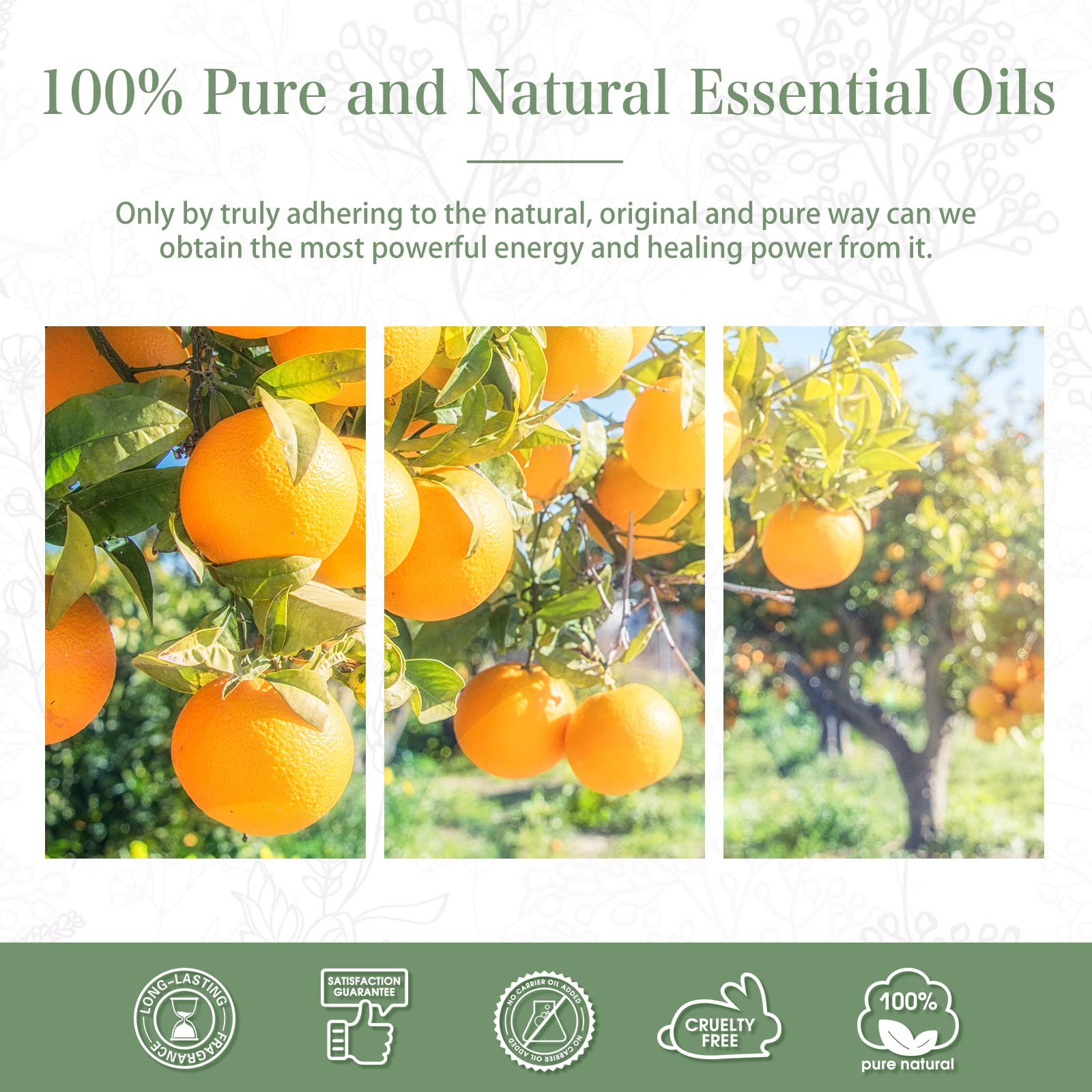 PHATOIL Sweet Orange Essential Oil 100ML, Pure Premium Grade Sweet Orange Essential