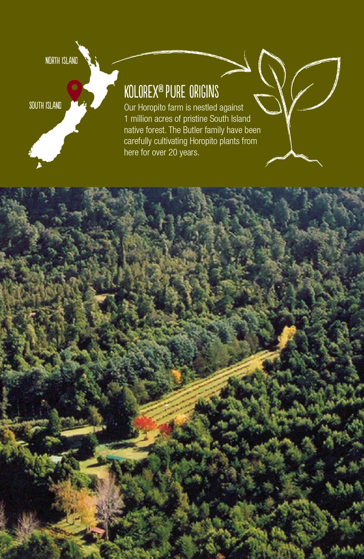 Kolorex Gut Care Candida Balance (Advanced Candida Care) 60ct