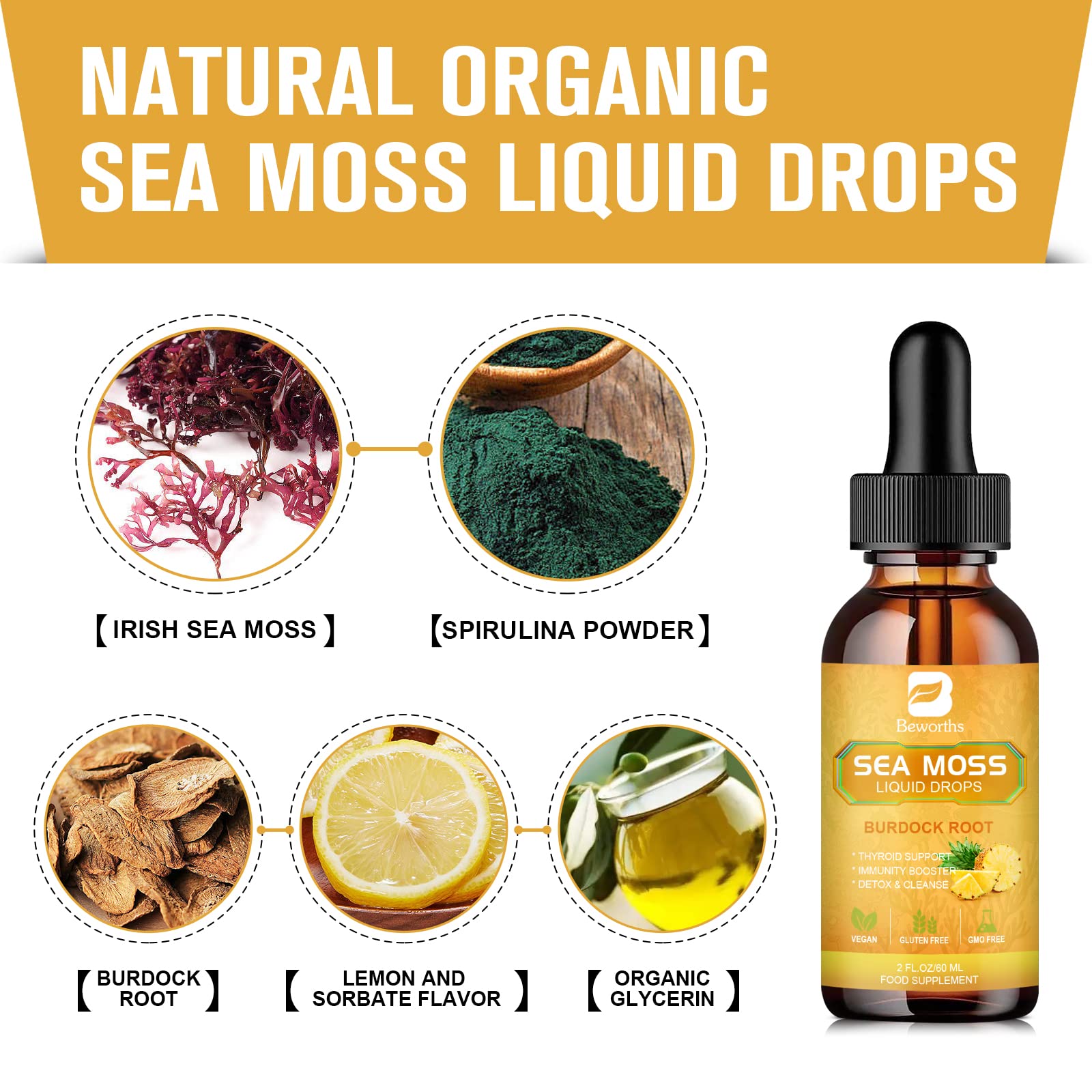 B BEWORTHS Sea Moss Liquid Drops - Organic Irish Sea Moss Gel with Burdock Root