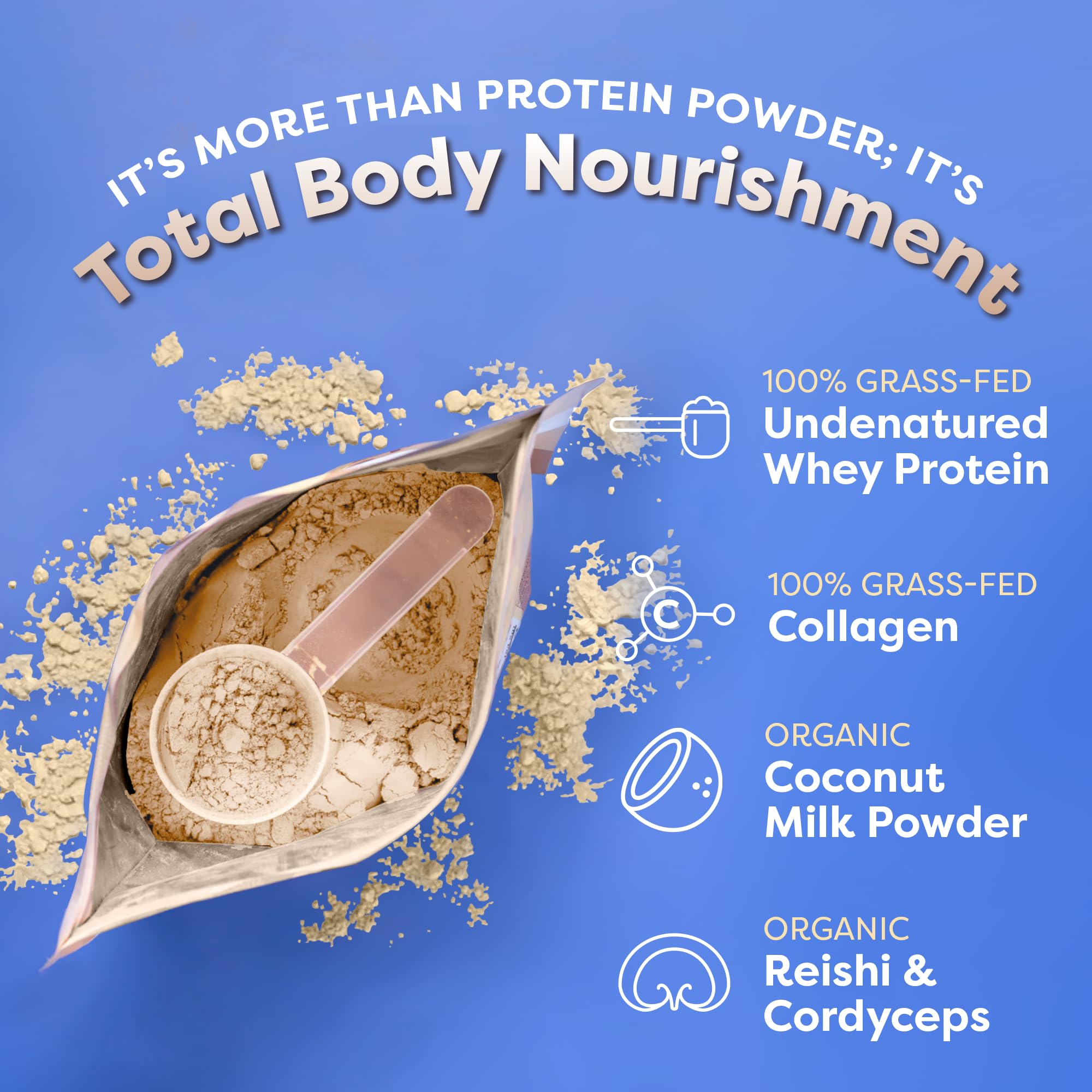 FlavCity Protein Powder Smoothie, Vanilla - 100% Grass-Fed Whey Protein