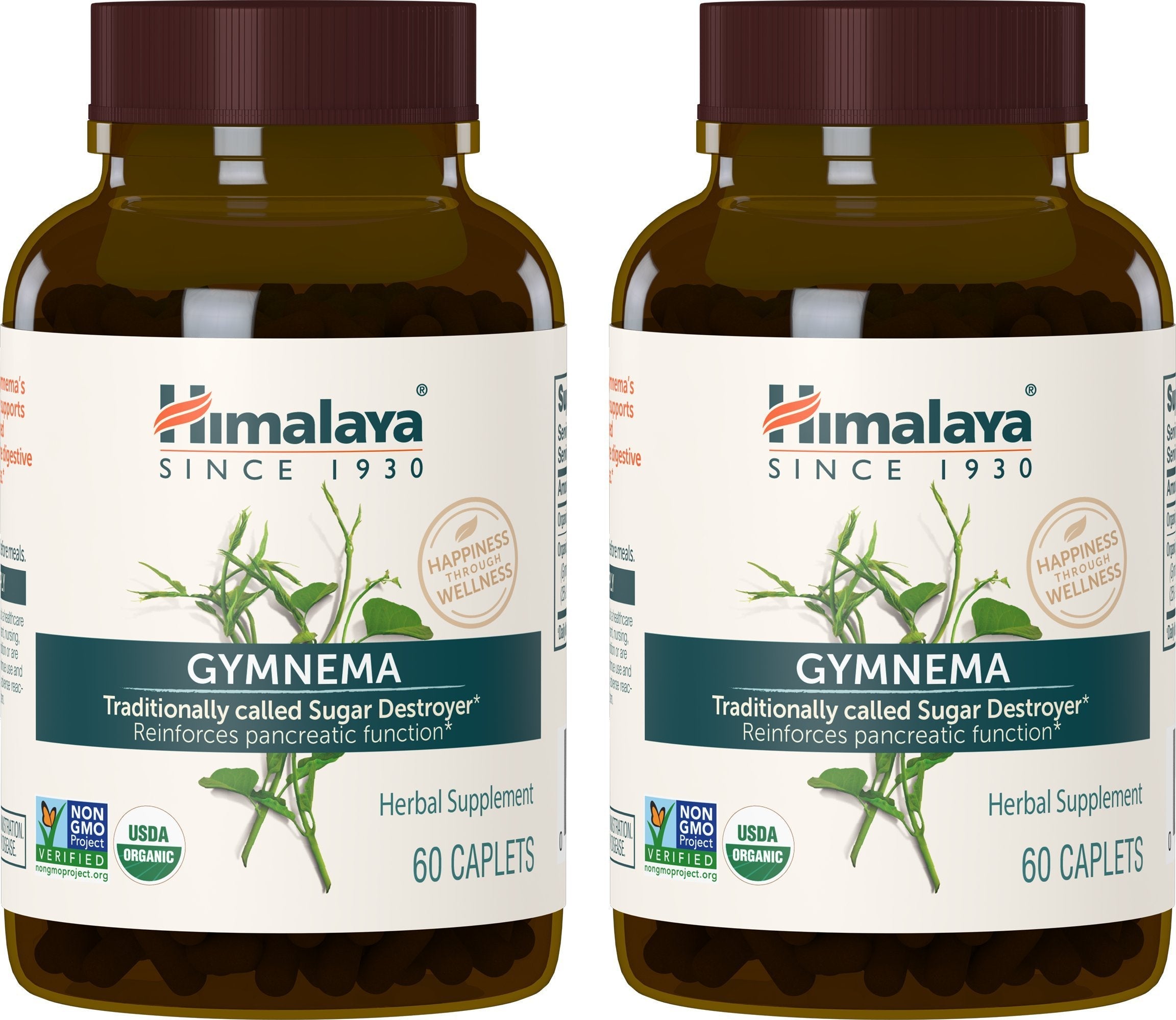 Himalaya Organic Gymnema Herbal Supplement for Weight Management, USDA Certified 