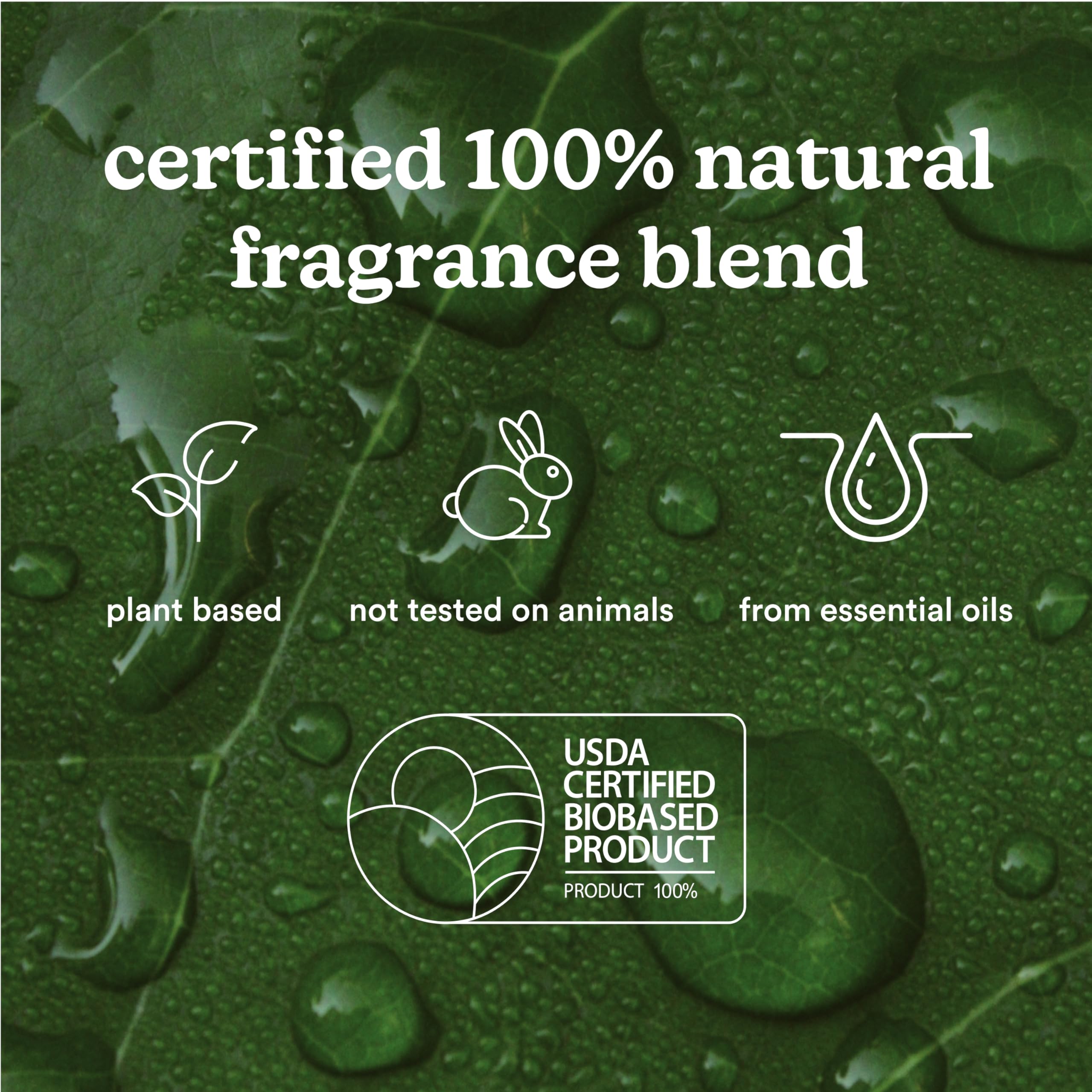 Homedics SereneScent Moroccan Magic Fragrance Oil Bottle, 120 ml, Clean & Natural, Fruity & Woody