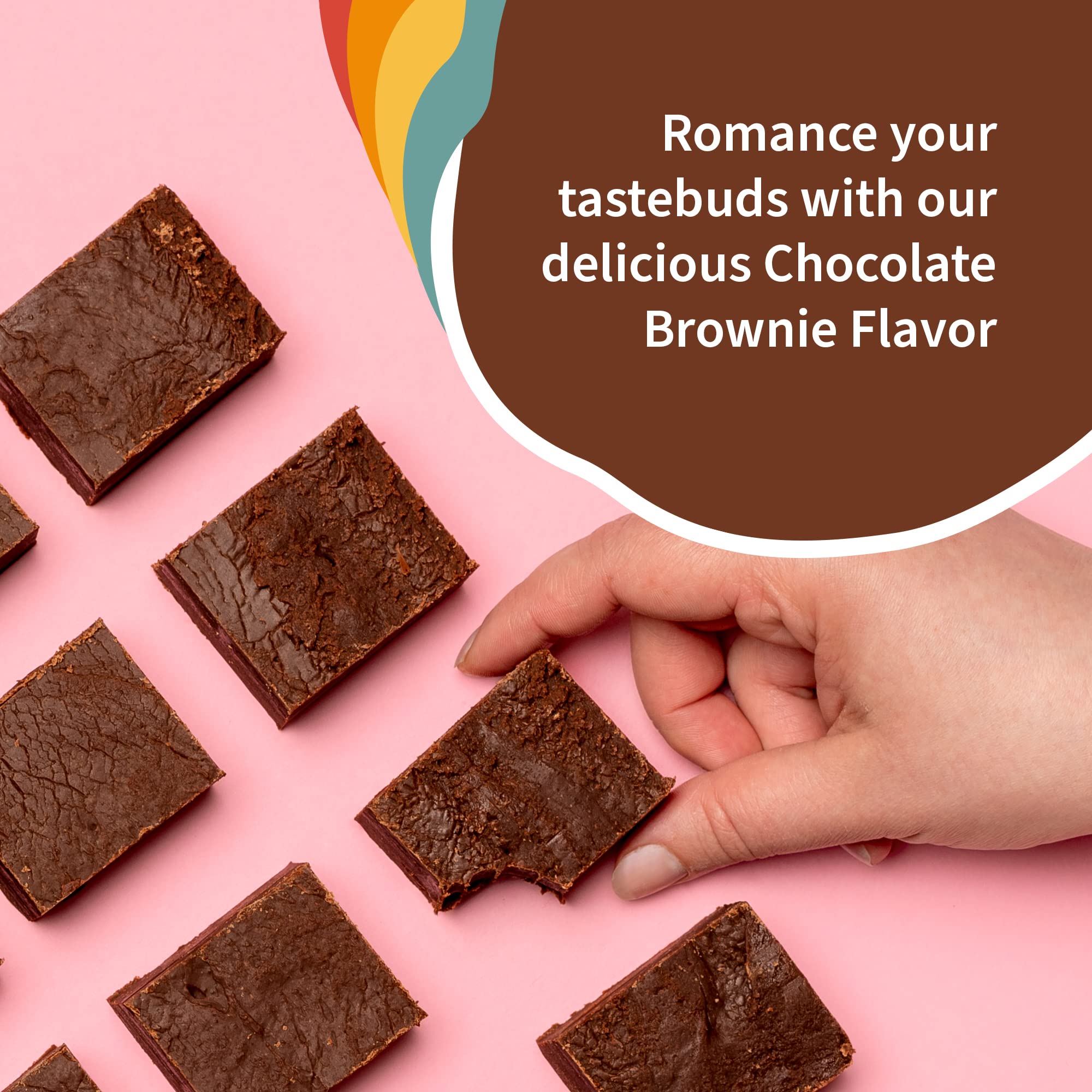 Garden of Life Creamy Organic Vegan Protein Powder + OatMilk, 20g Complete Plant