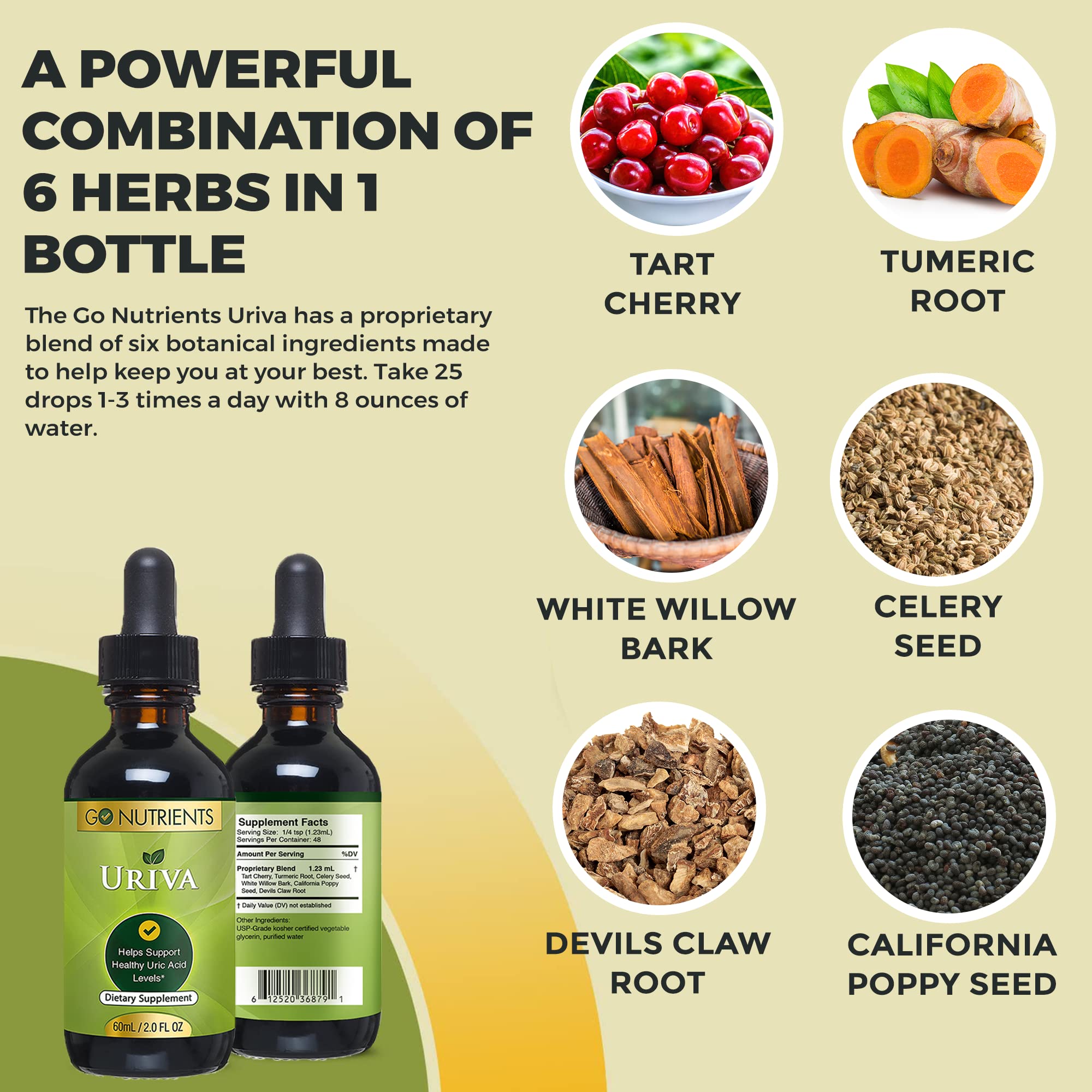 Go Nutrients Uriva Advanced Uric Acid Flush Cleanse with Tart Cherry Extract Celery Seed Extract Turmeric