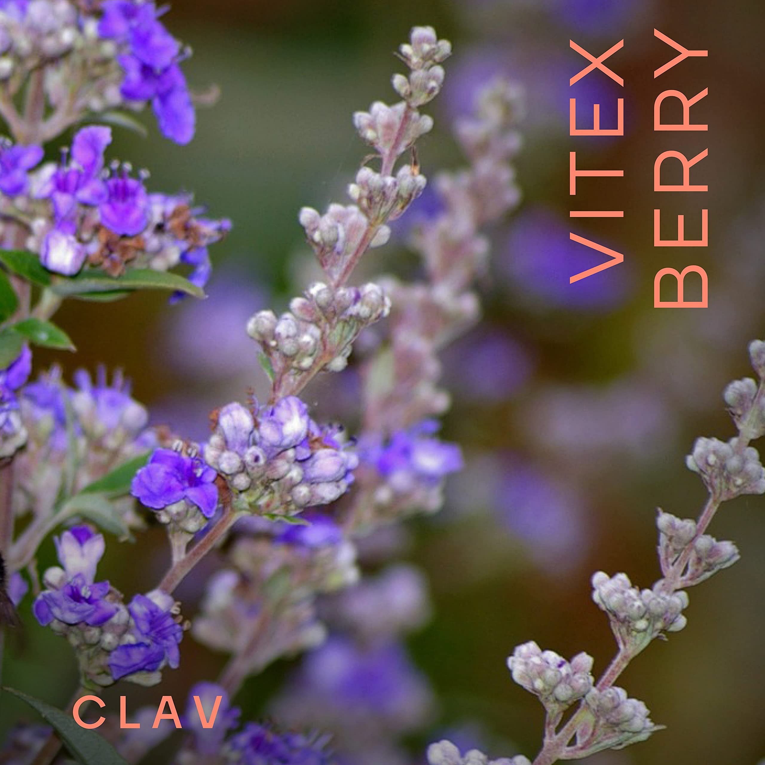 Vitex Berry - Premium Chasteberry 4:1 Extract (Vitex Agnus Castus) - Menopause & PMS Support